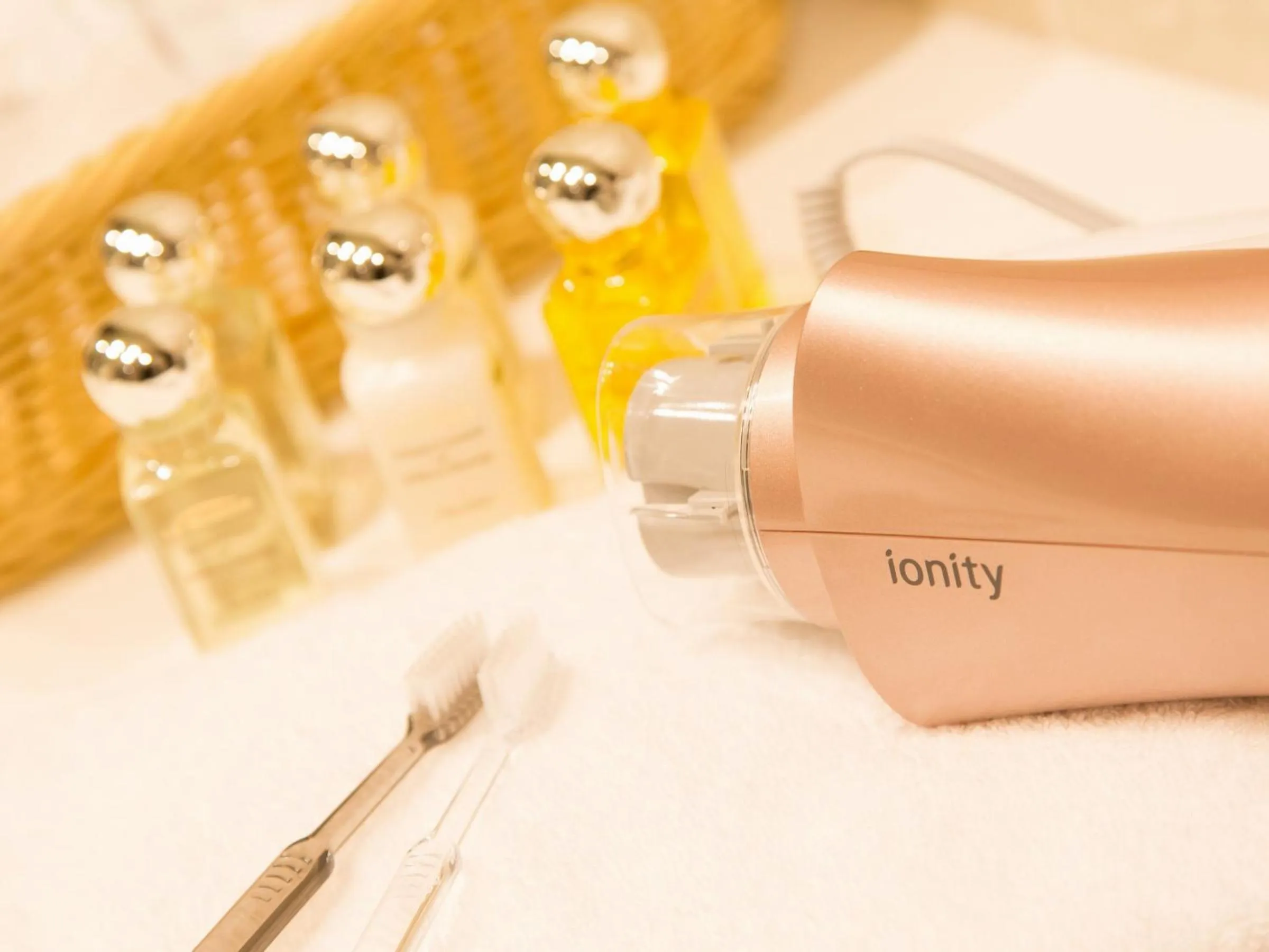 Area and facilities in Hotel Shiki Utsubo Park