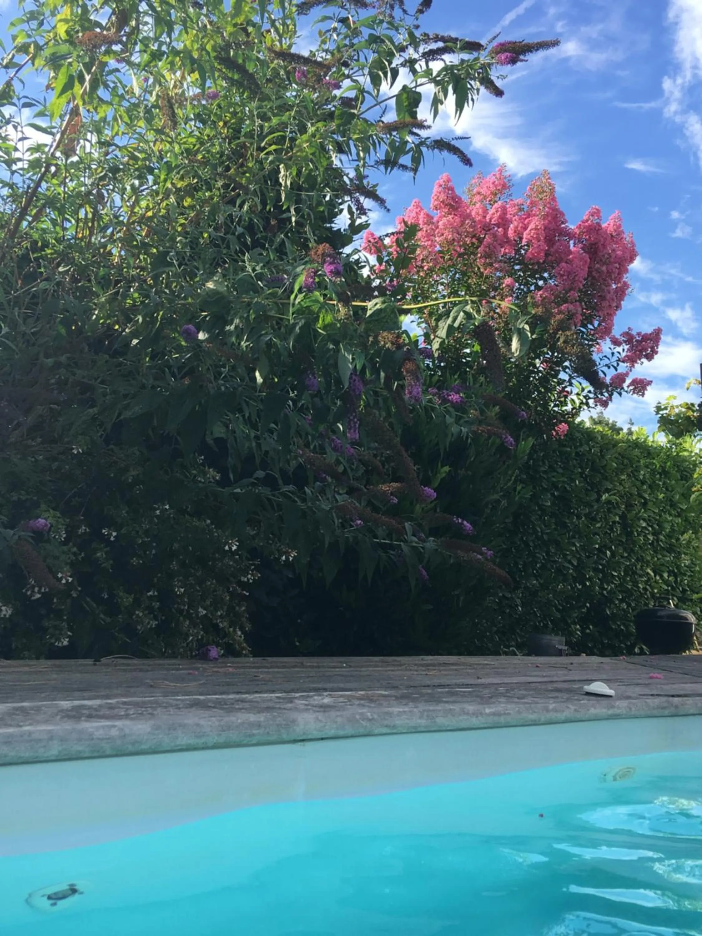 Natural landscape in La Maison des Eaux Claires