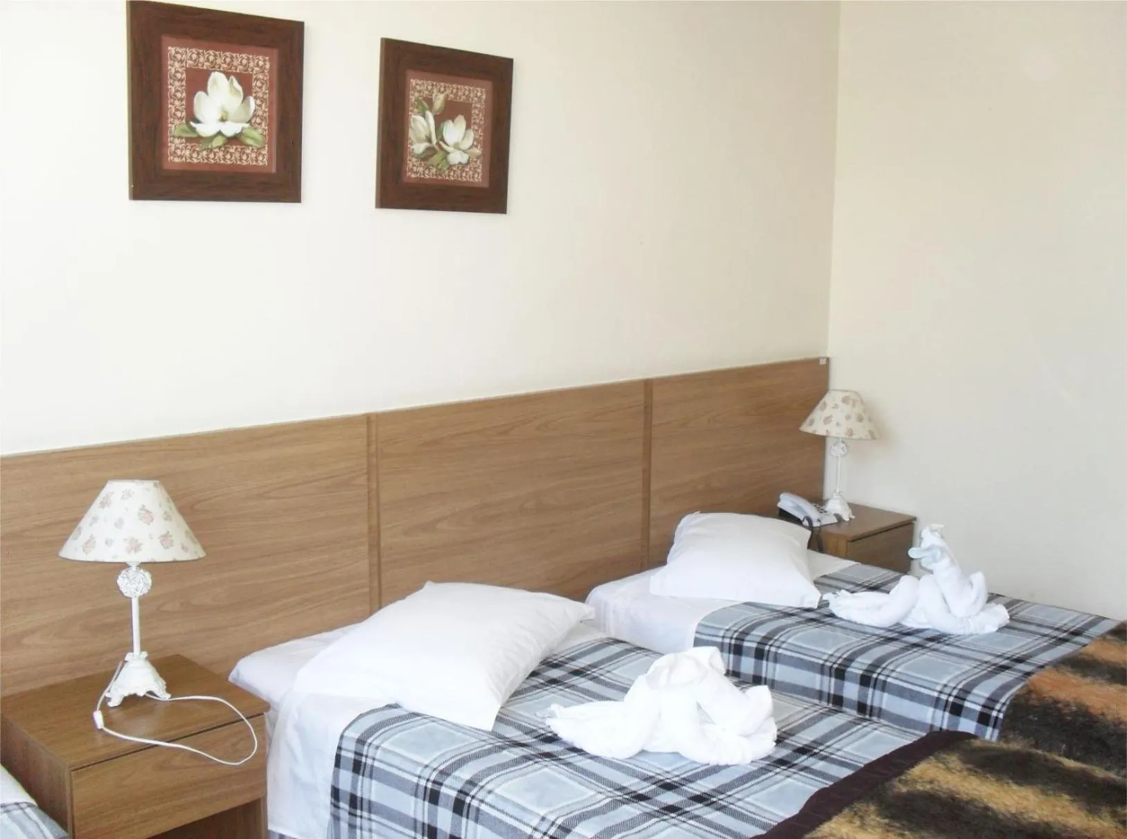 Parque Hotel de Lambari