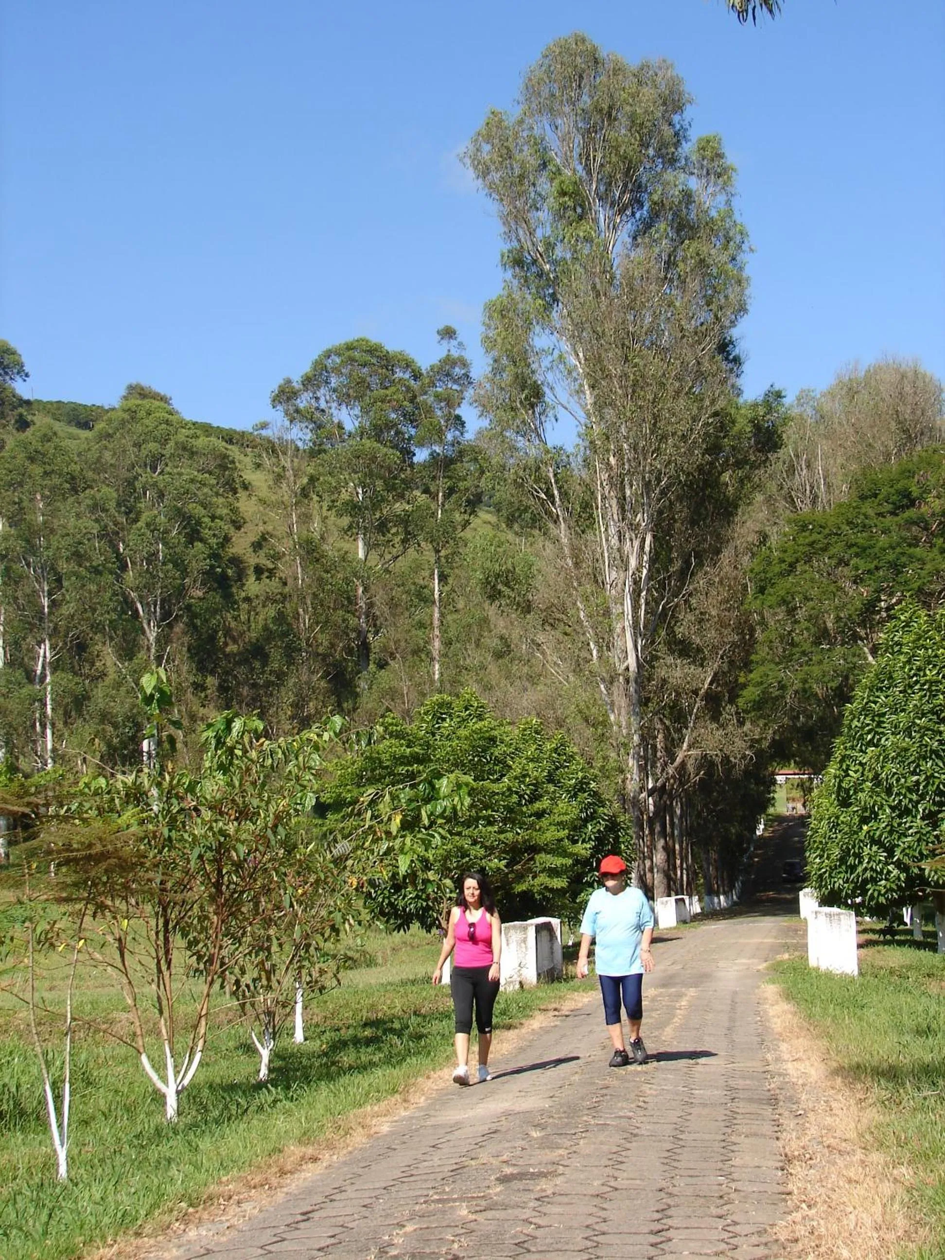 Parque Hotel de Lambari