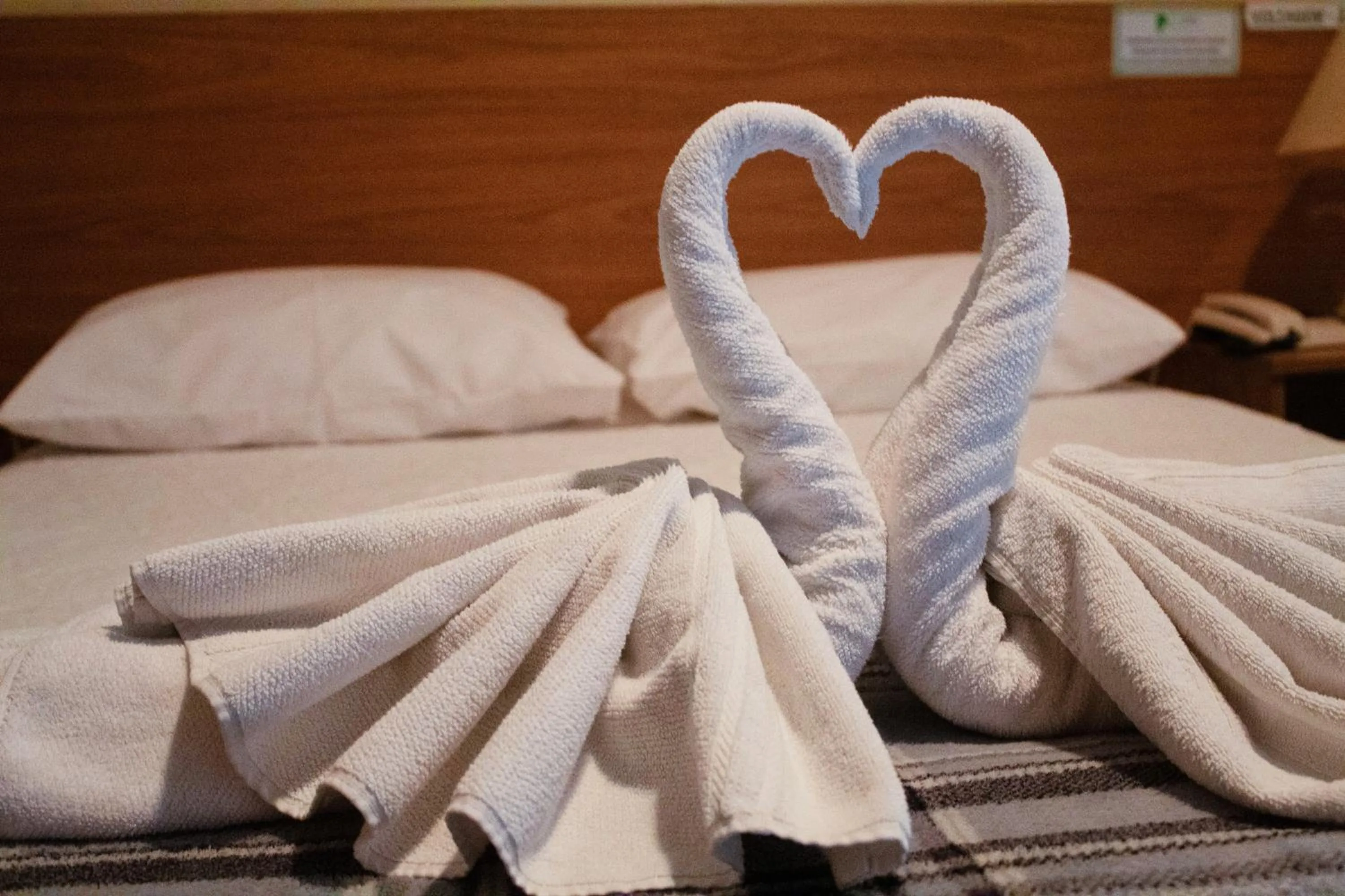 Parque Hotel de Lambari