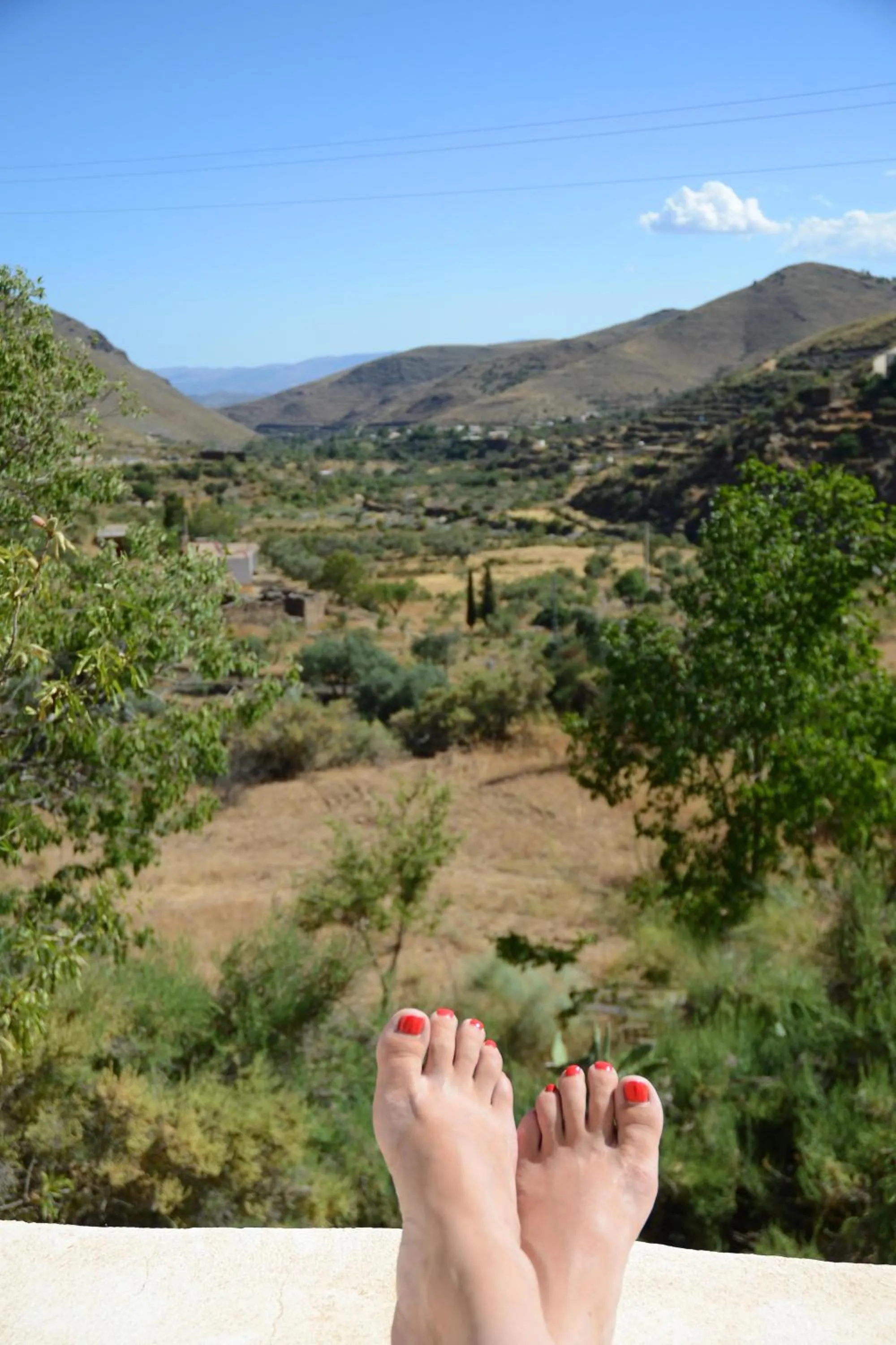 Garden view in Casa Mimi B&B Adults Only