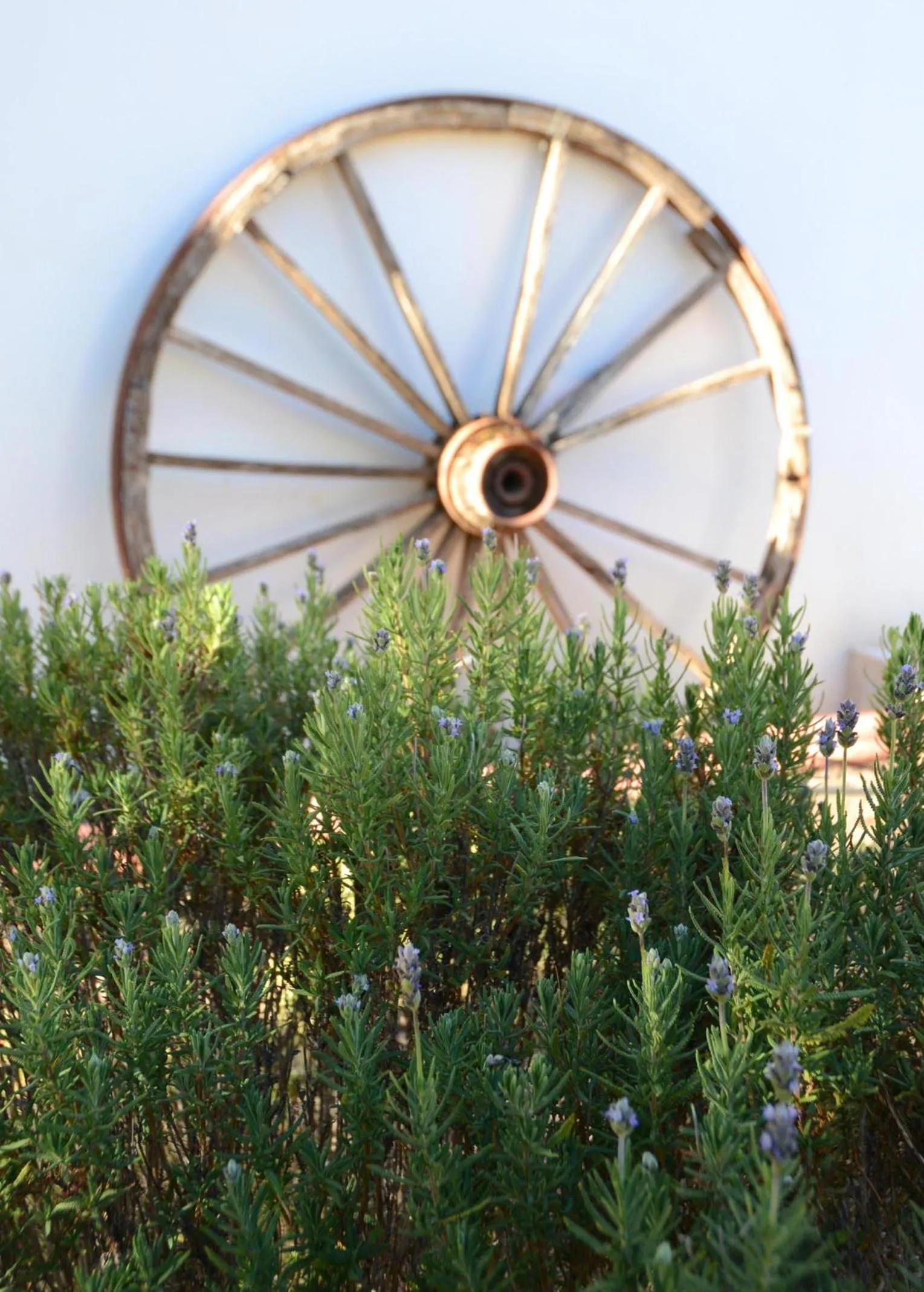 Garden in Casa Mimi B&B Adults Only