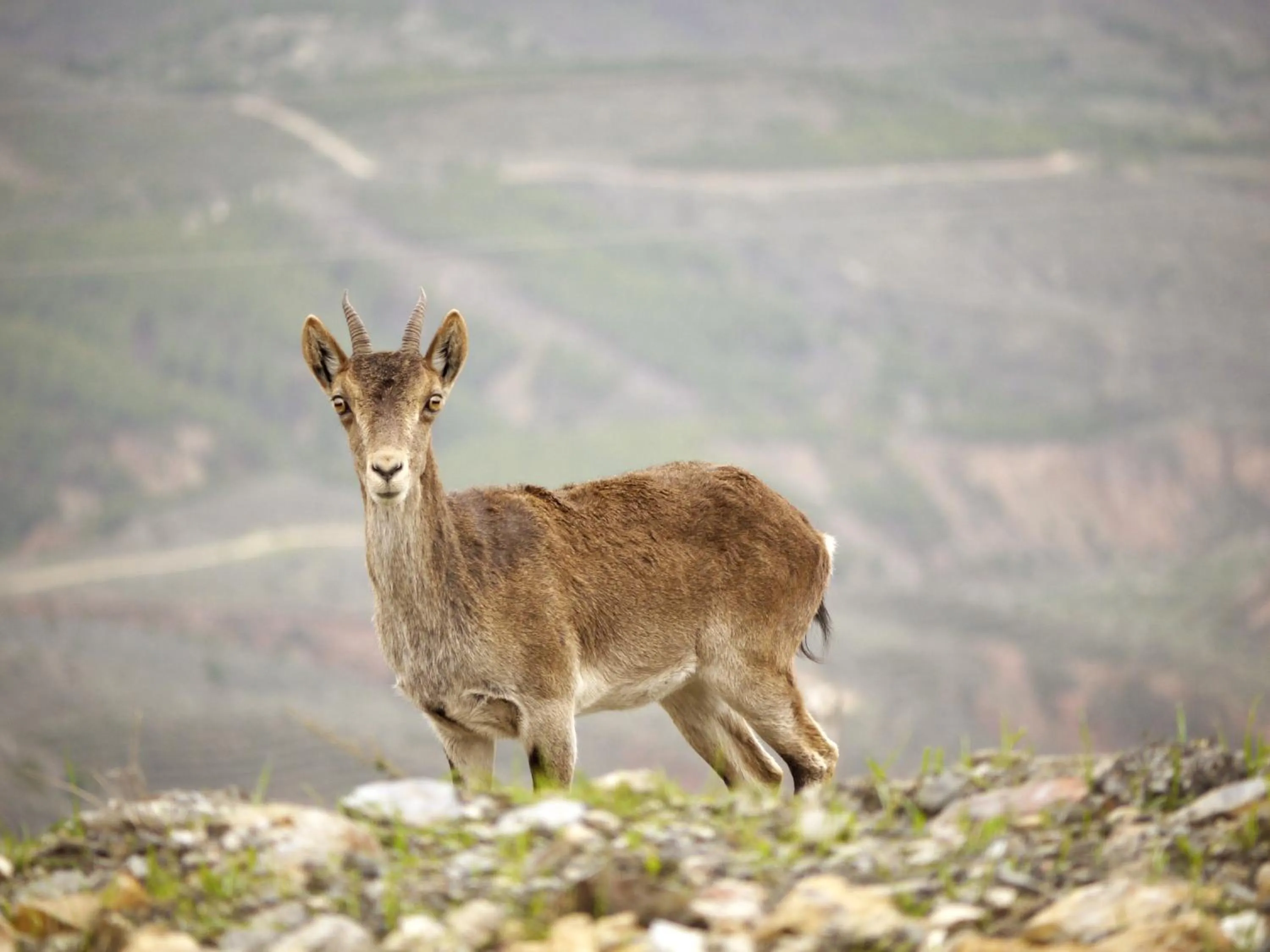 Natural landscape in Casa Mimi B&B Adults Only