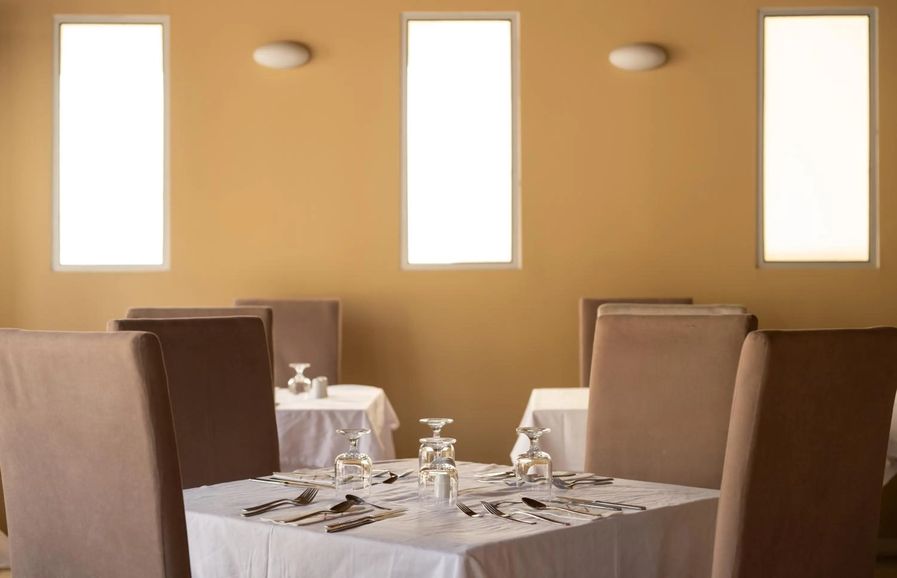 Restaurant/places to eat in Canvas by Mitsis Petit Palais