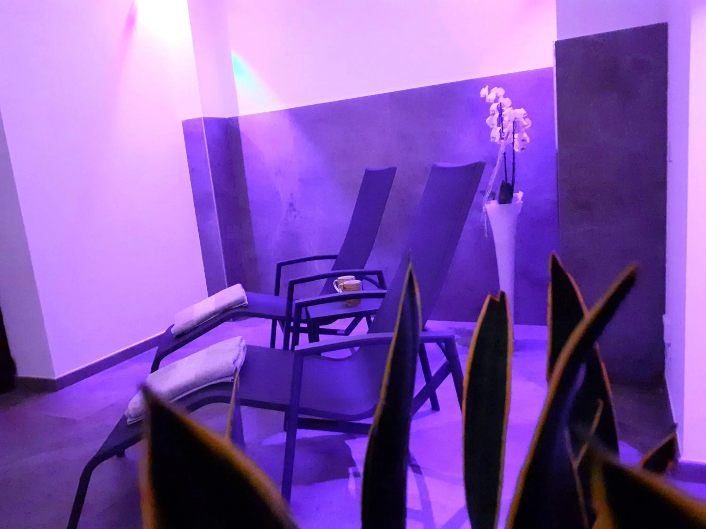 Spa and wellness centre/facilities in Park Hotel Val Di Monte ***S