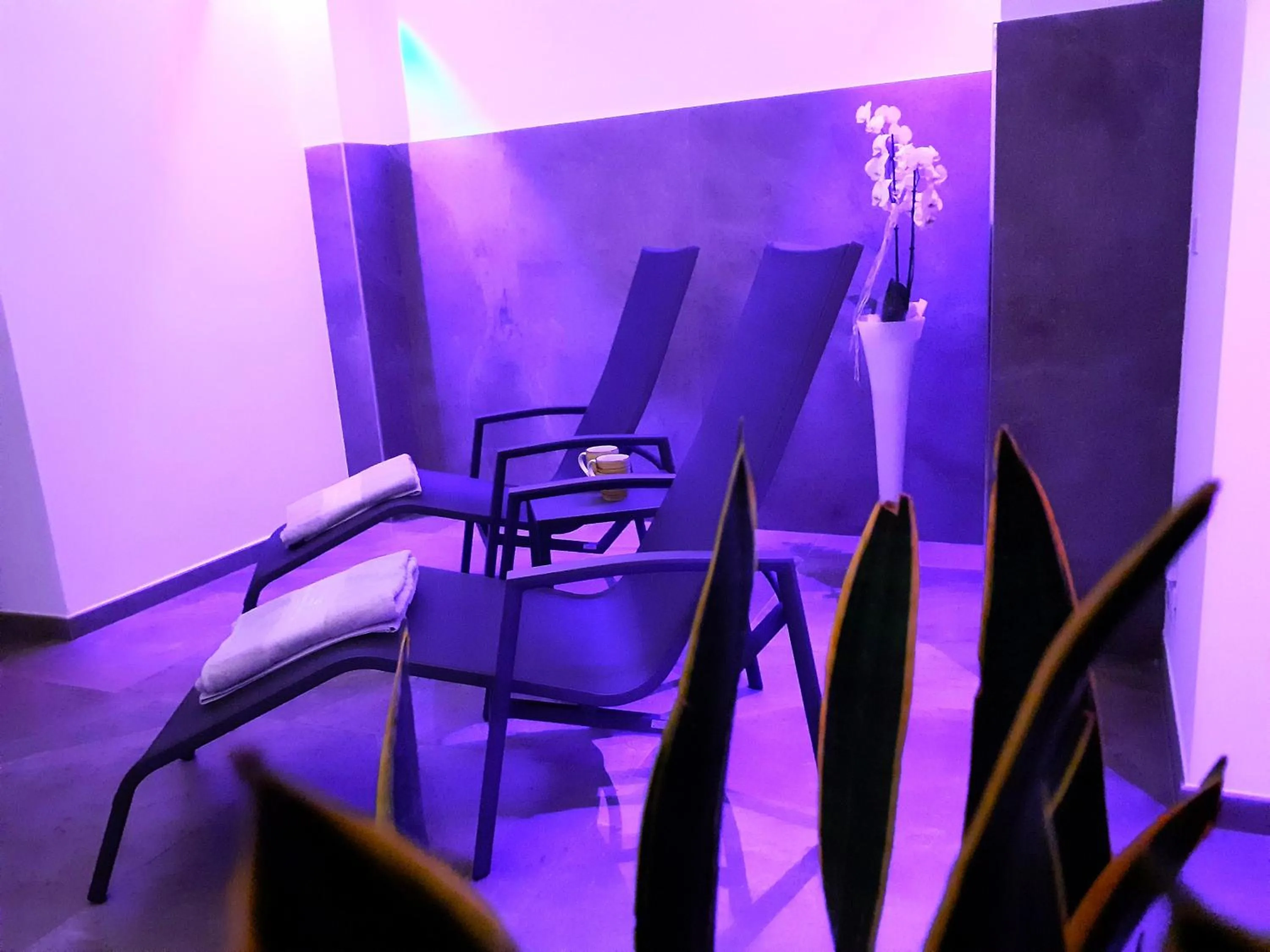 Spa and wellness centre/facilities in Park Hotel Val Di Monte ***S