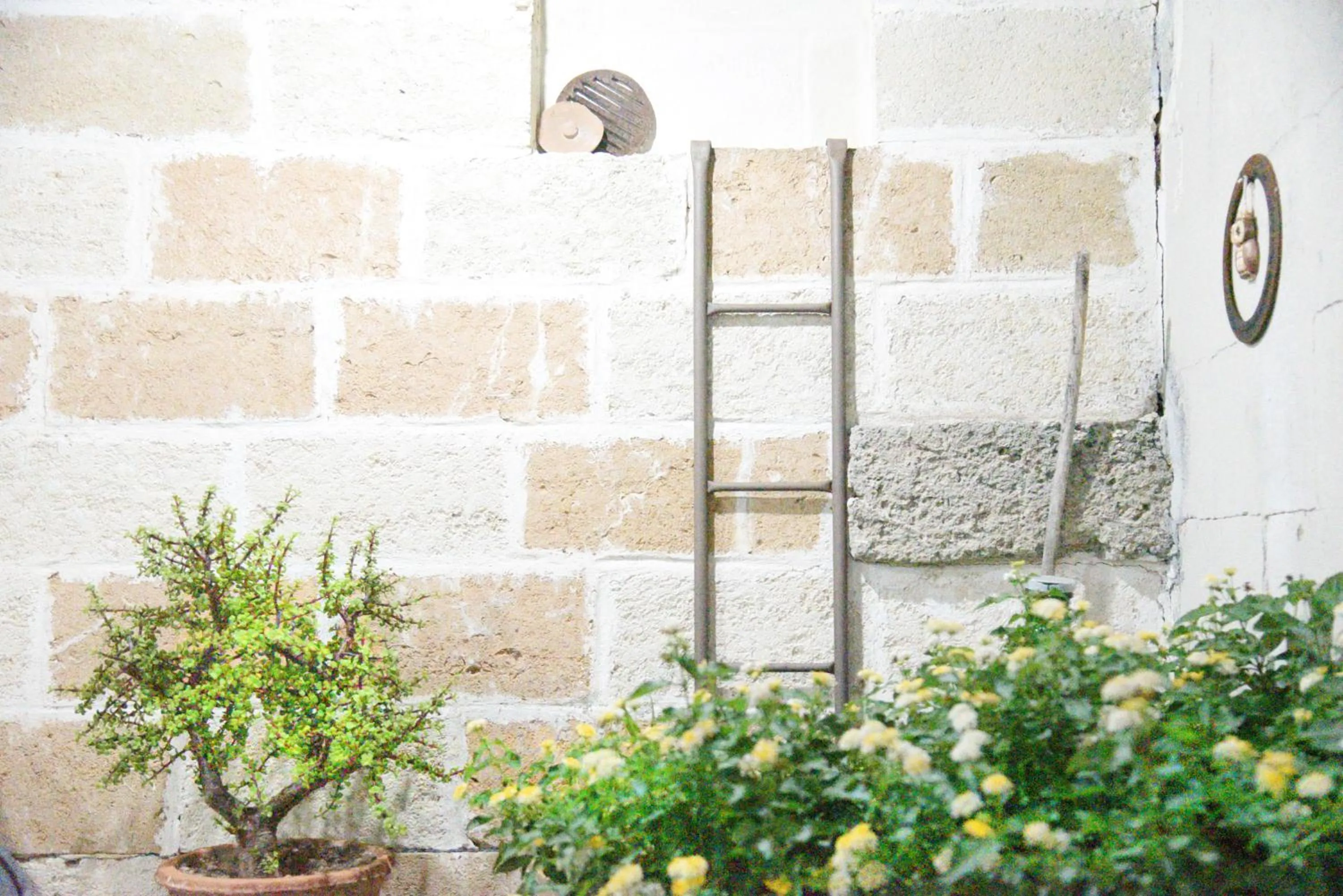 Property building in B&B Villa Sofia