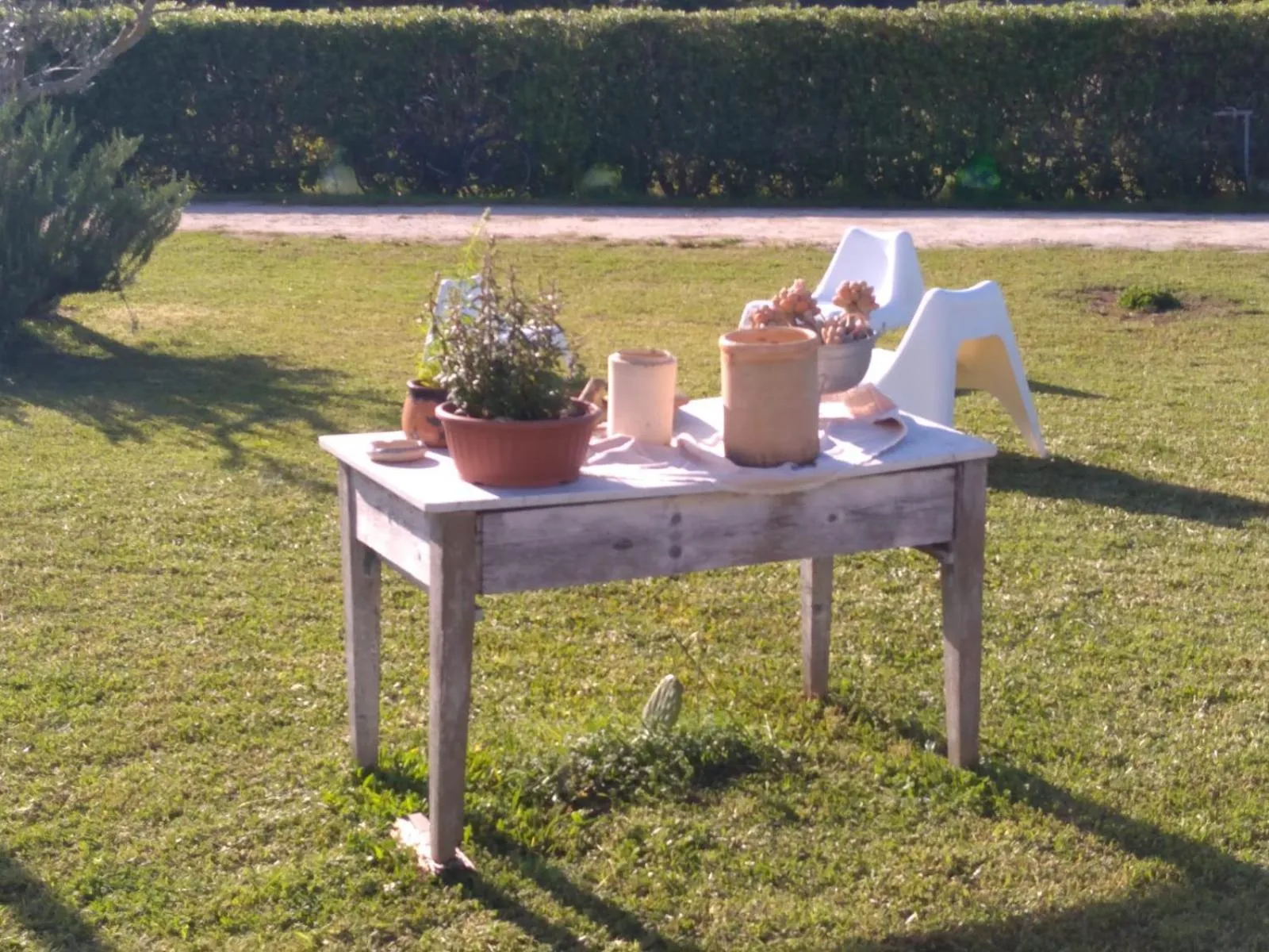 Garden in B&B Villa Sofia