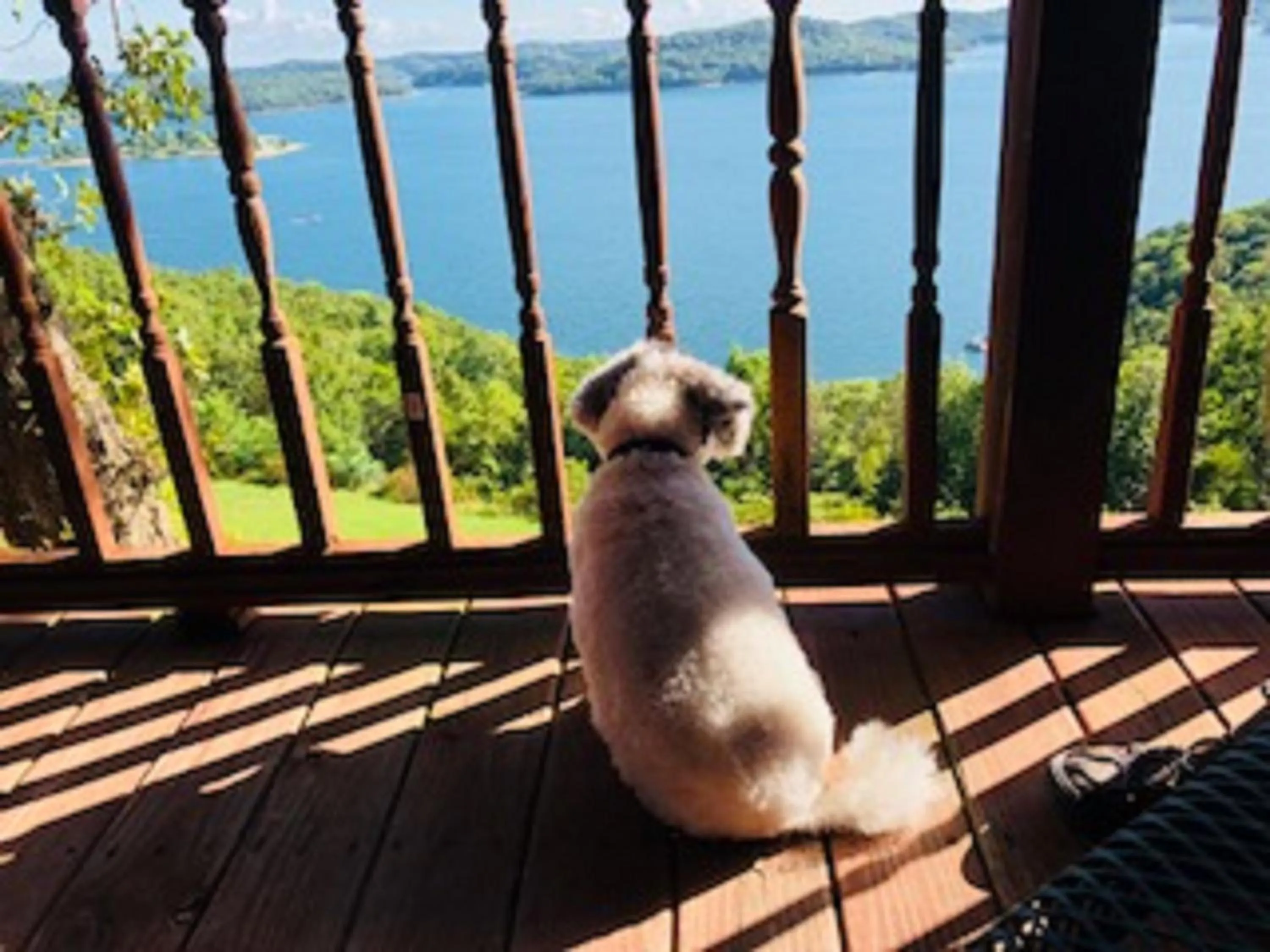 Pets in Sugar Ridge Resort