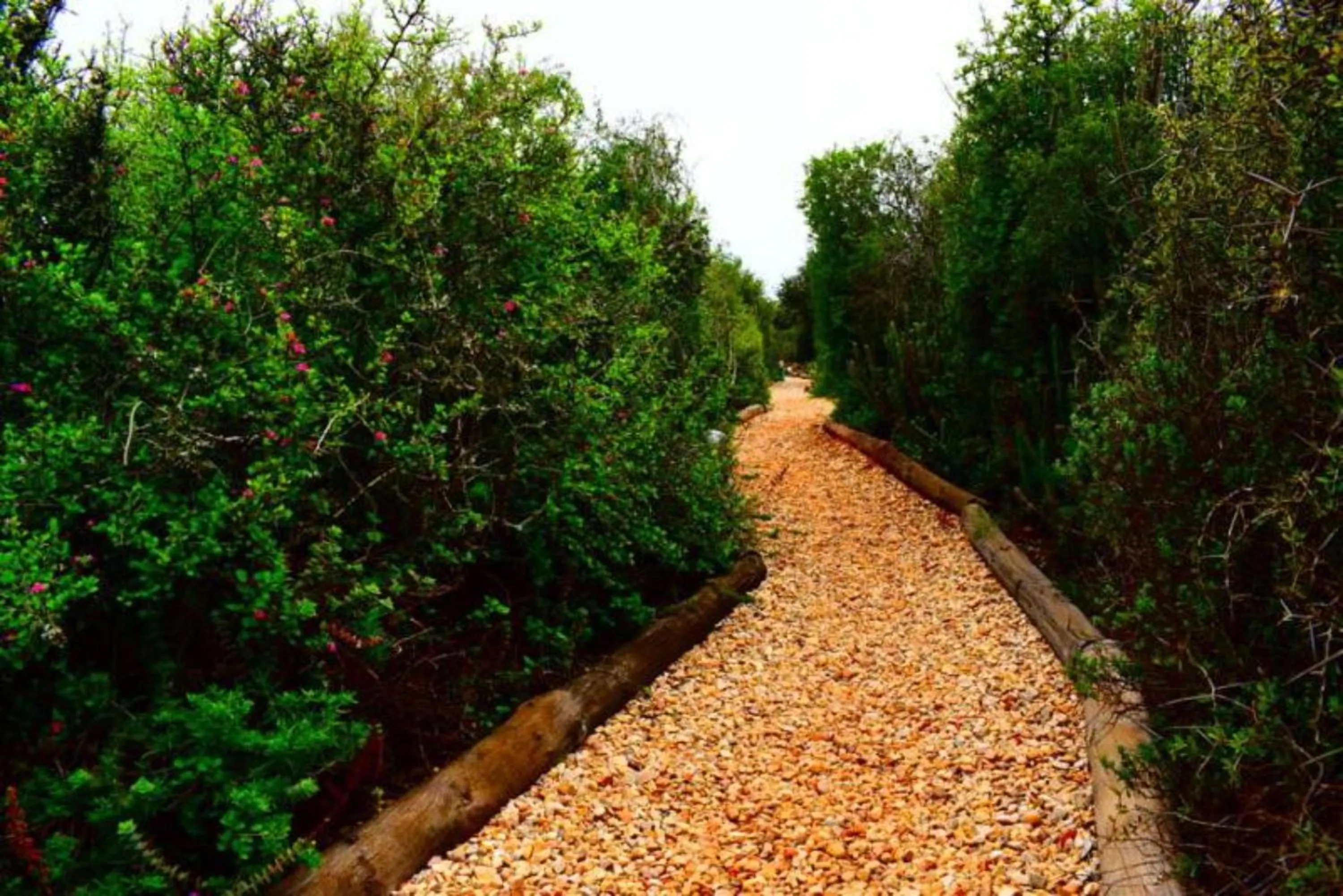 Natural landscape in Kudu Ridge Game Lodge