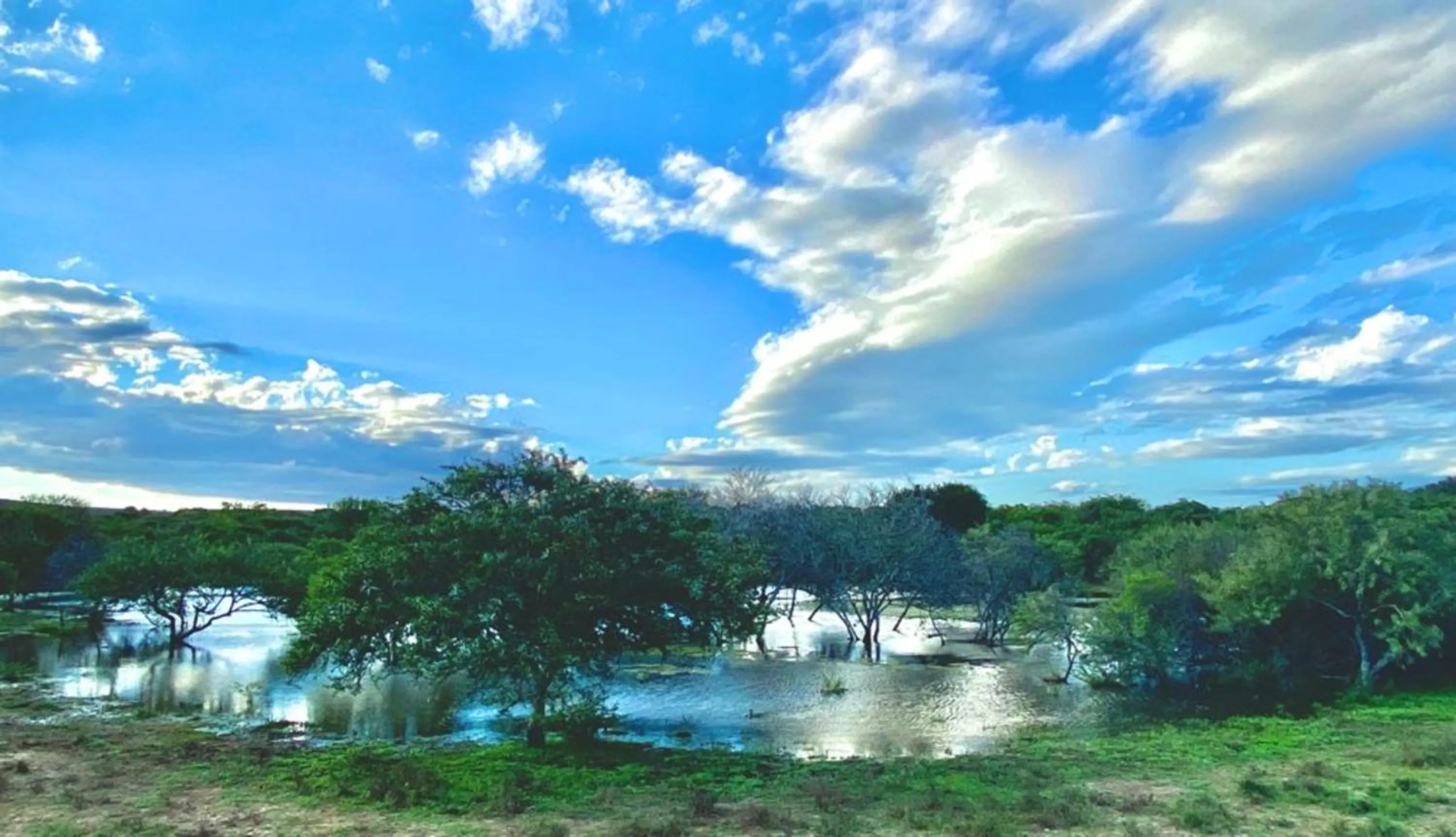 Natural landscape in Kudu Ridge Game Lodge