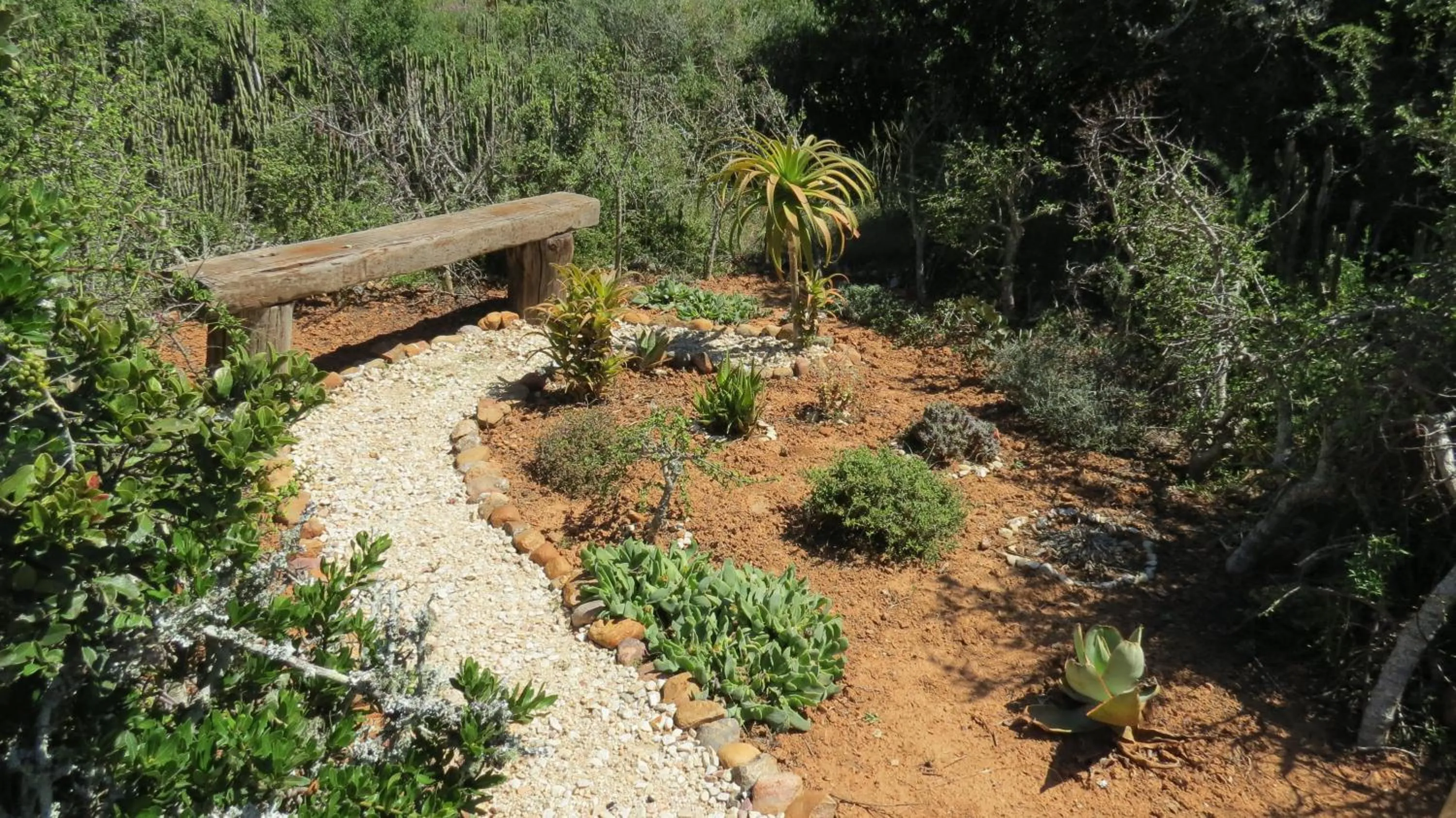 Garden view in Kudu Ridge Game Lodge