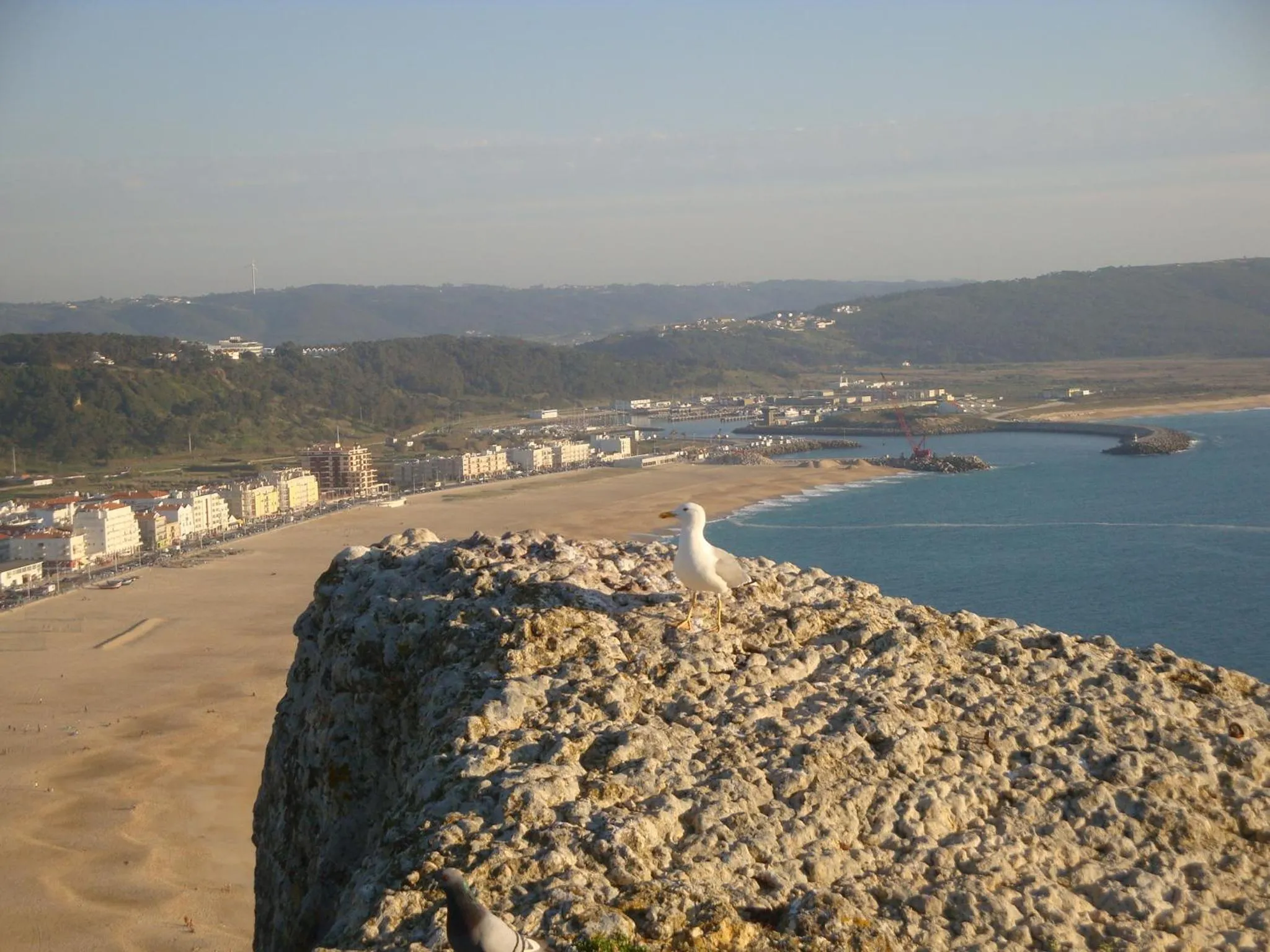 Natural landscape in Hotel Ancora Mar