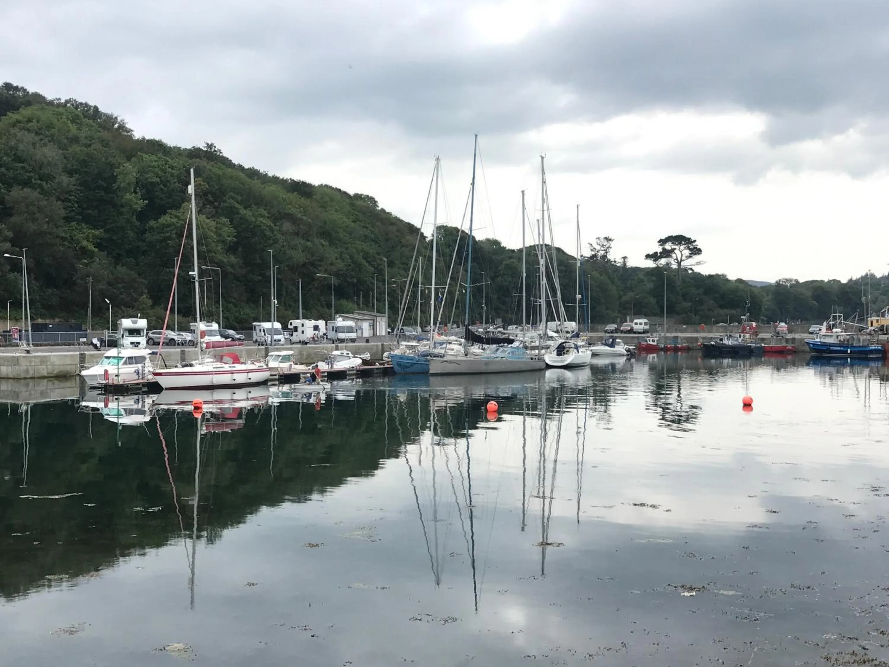 Natural landscape in Niblick