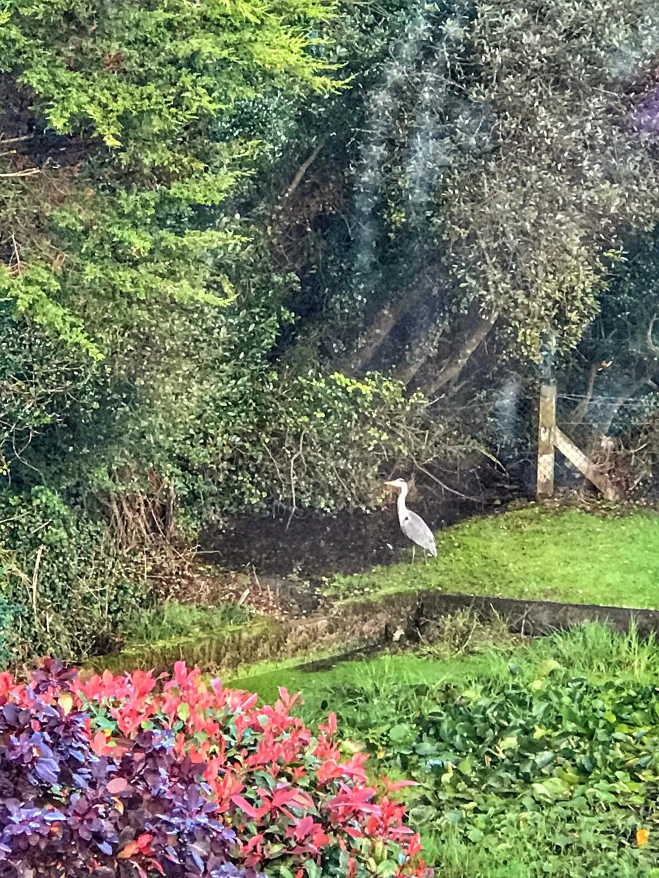 Natural landscape in Niblick