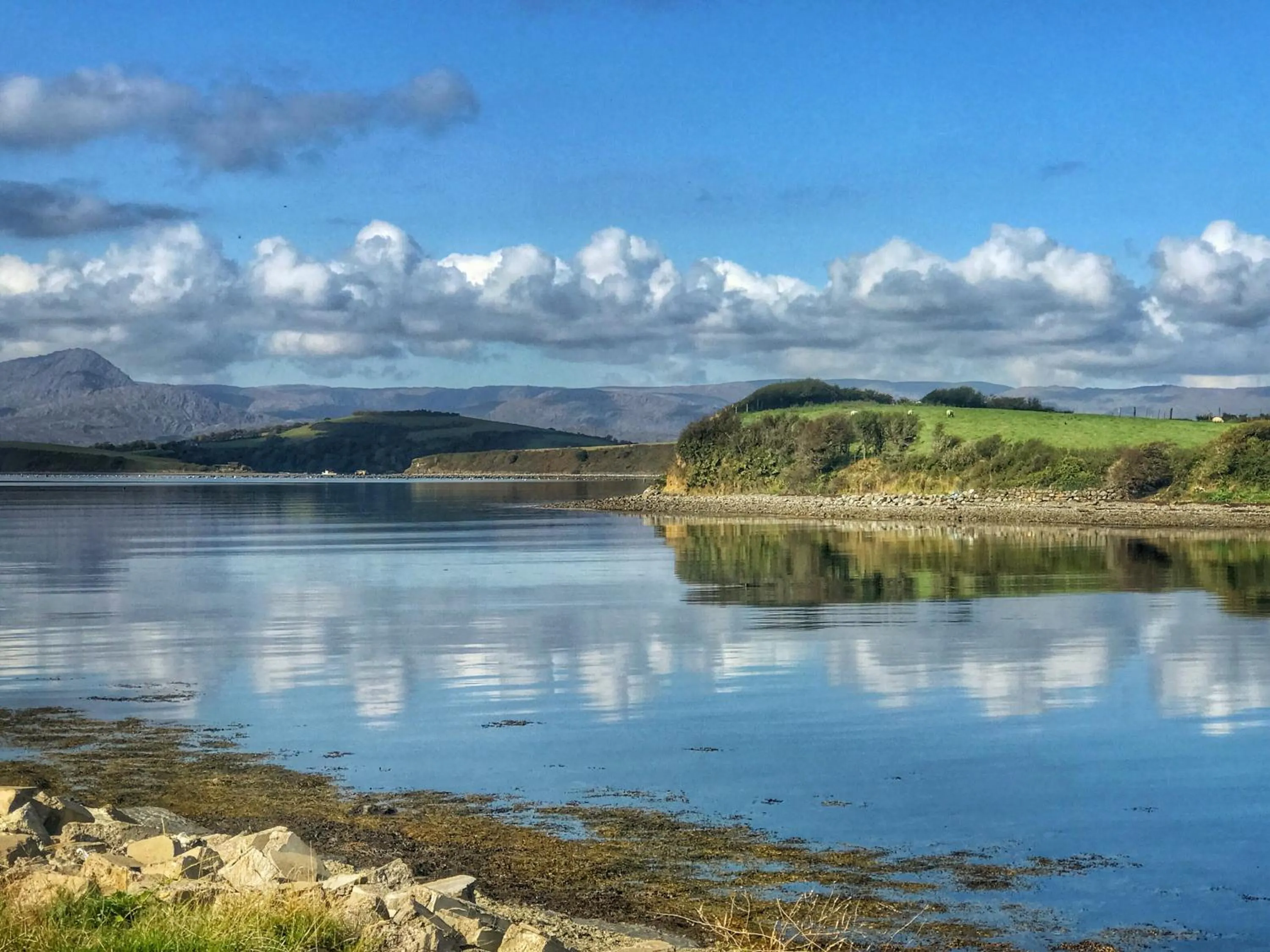 Natural landscape in Niblick