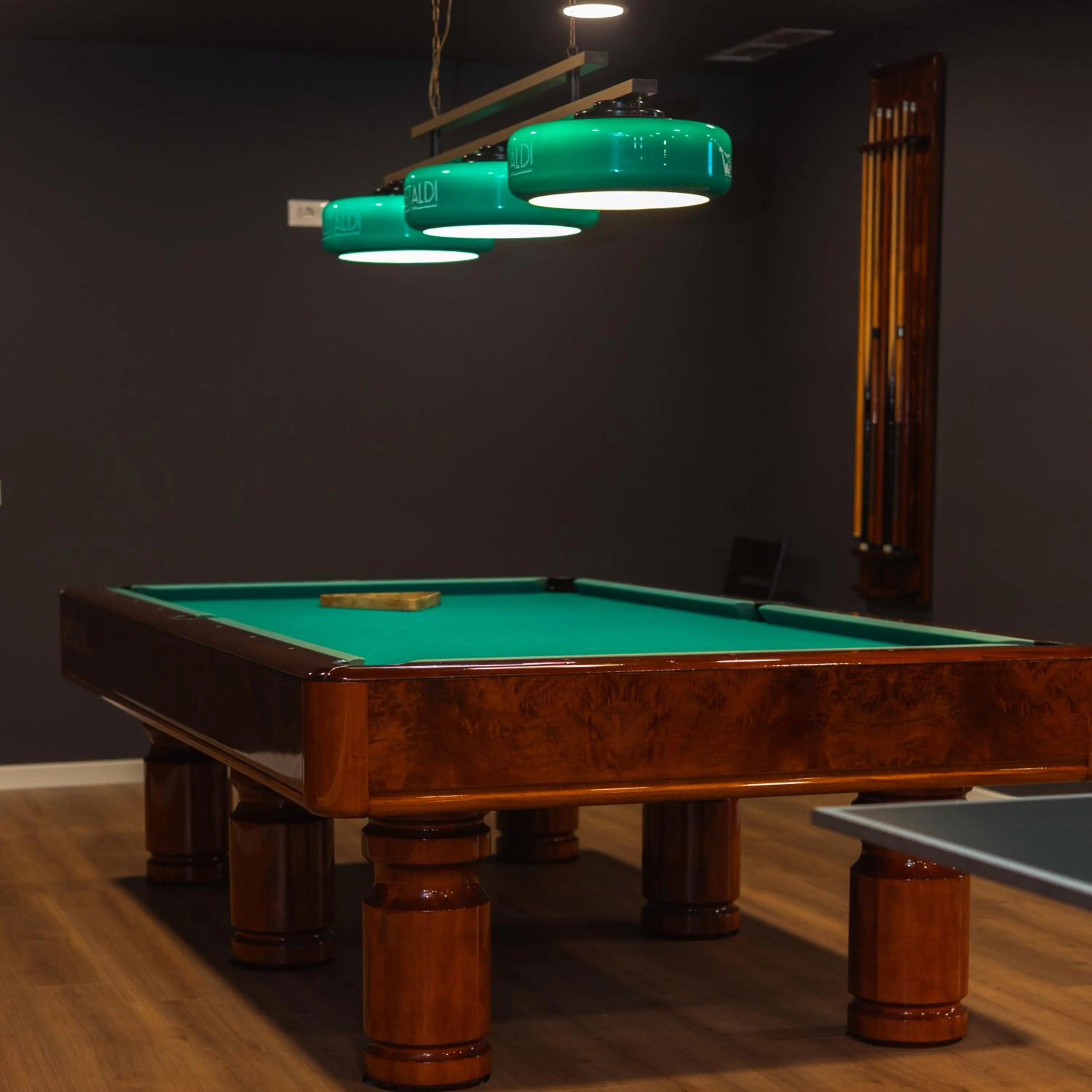 Billiard in Hotel Airport Tirana
