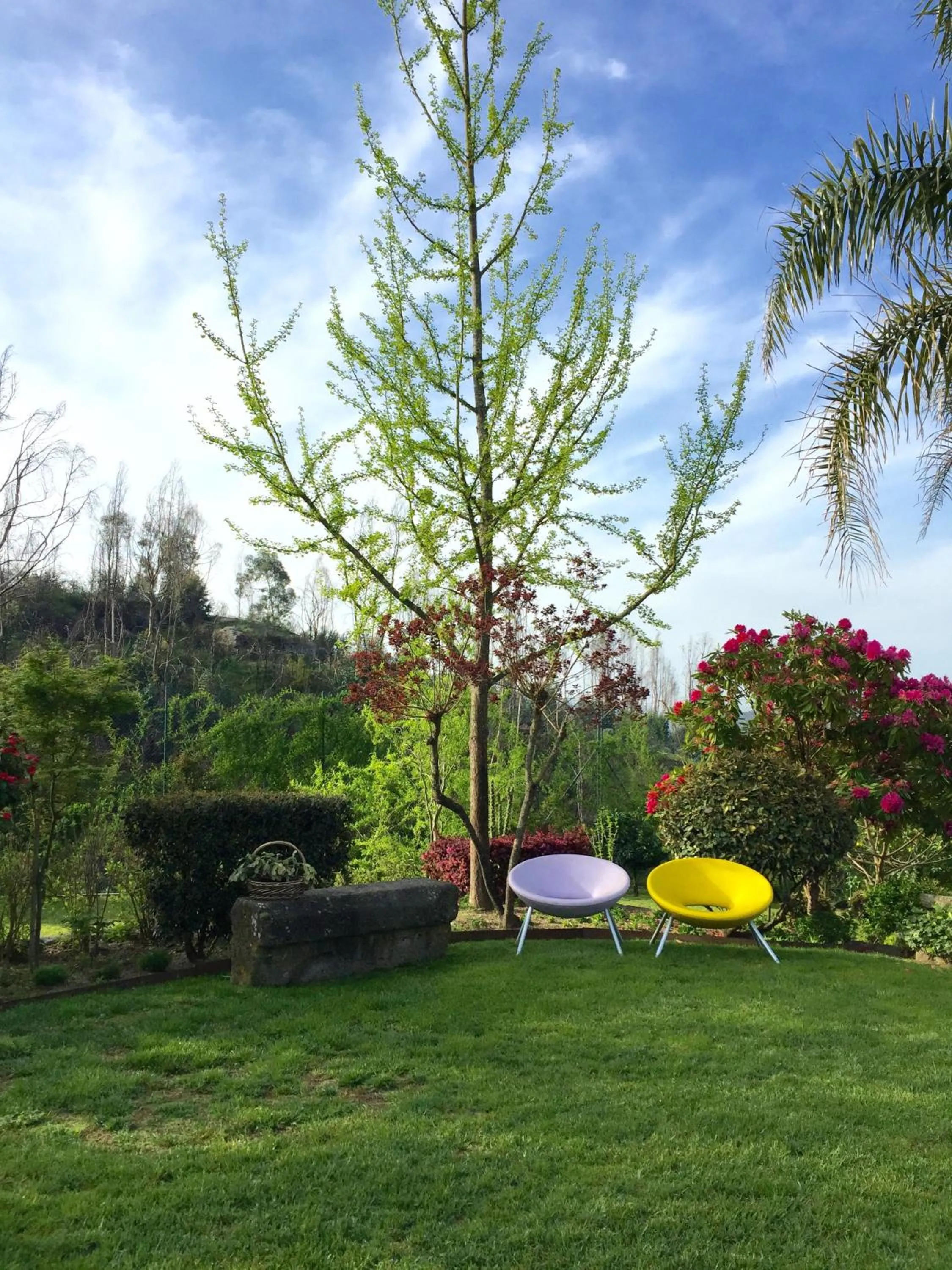 Garden in Casa da Costa Grande