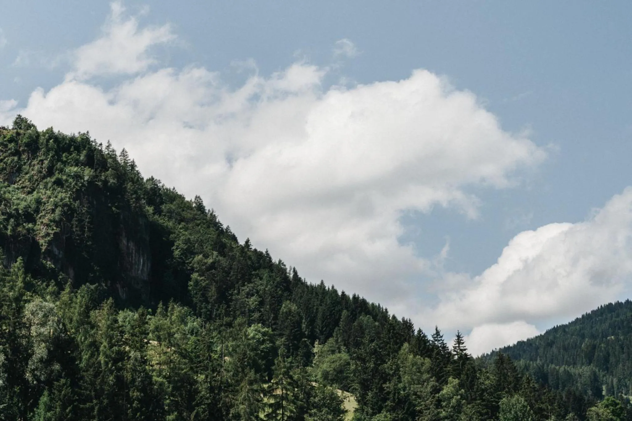 Natural landscape in Biohotel Rupertus