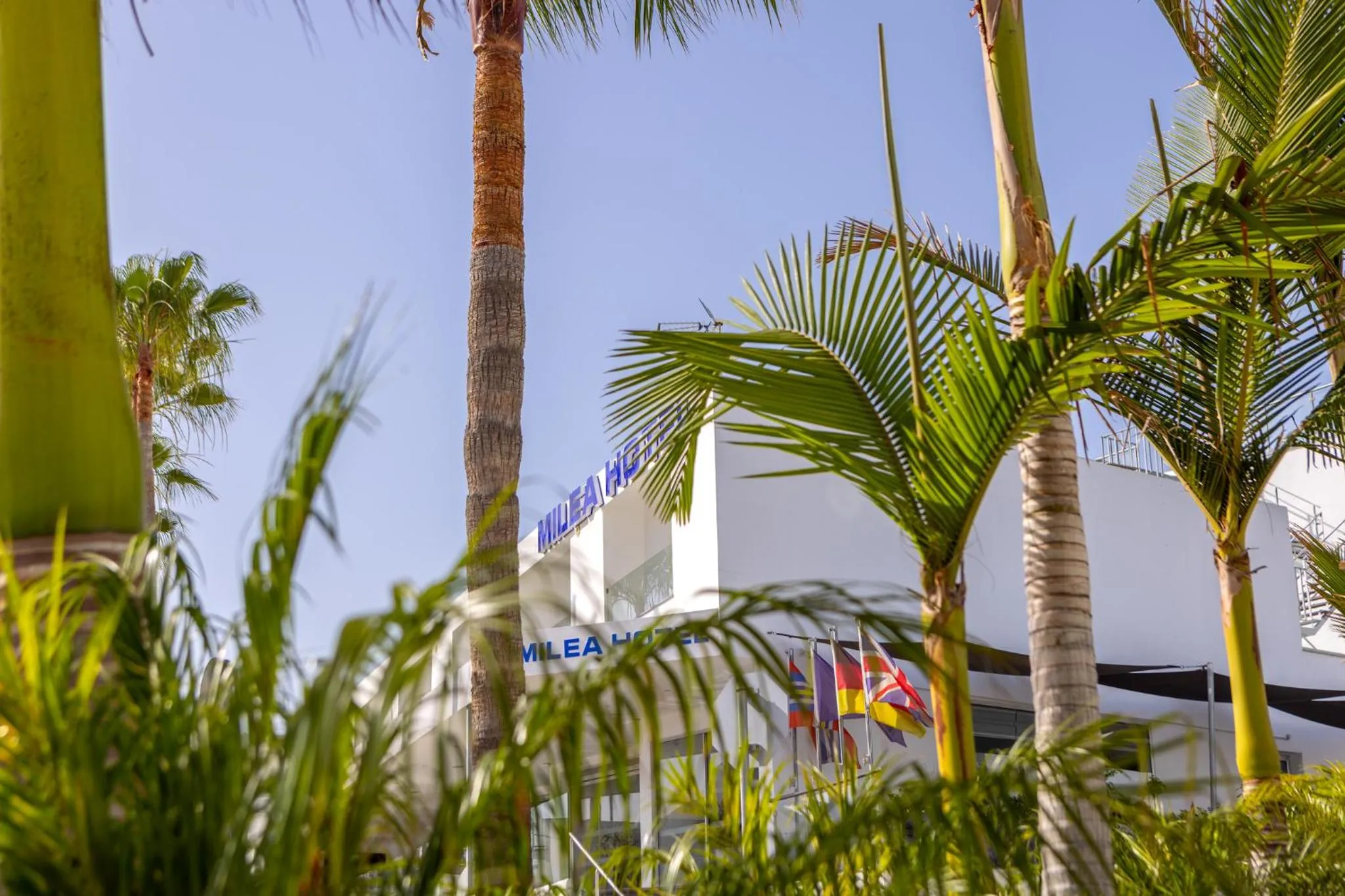 Milea Hotel