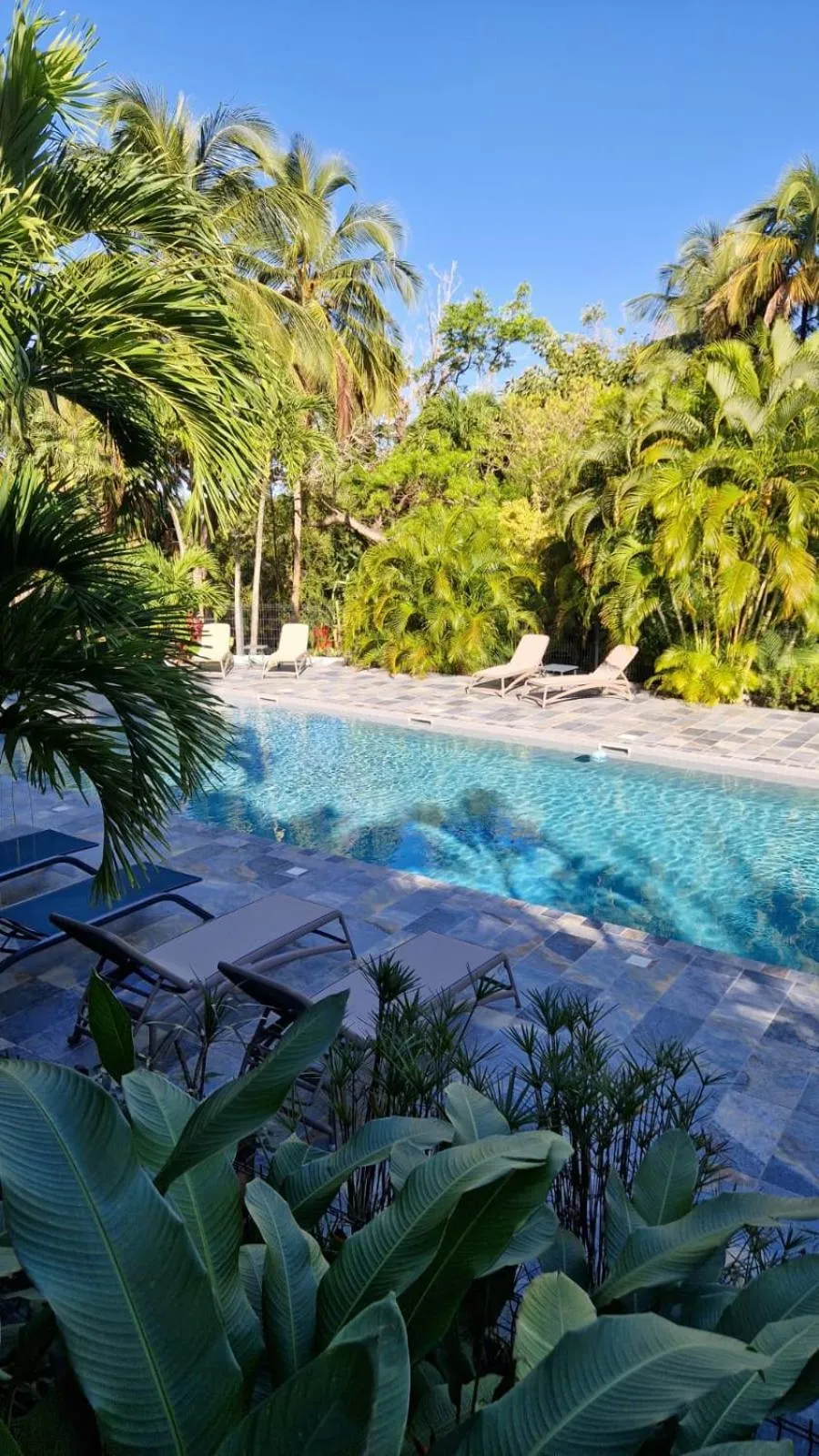 Swimming pool in Caraib'Bay Hotel