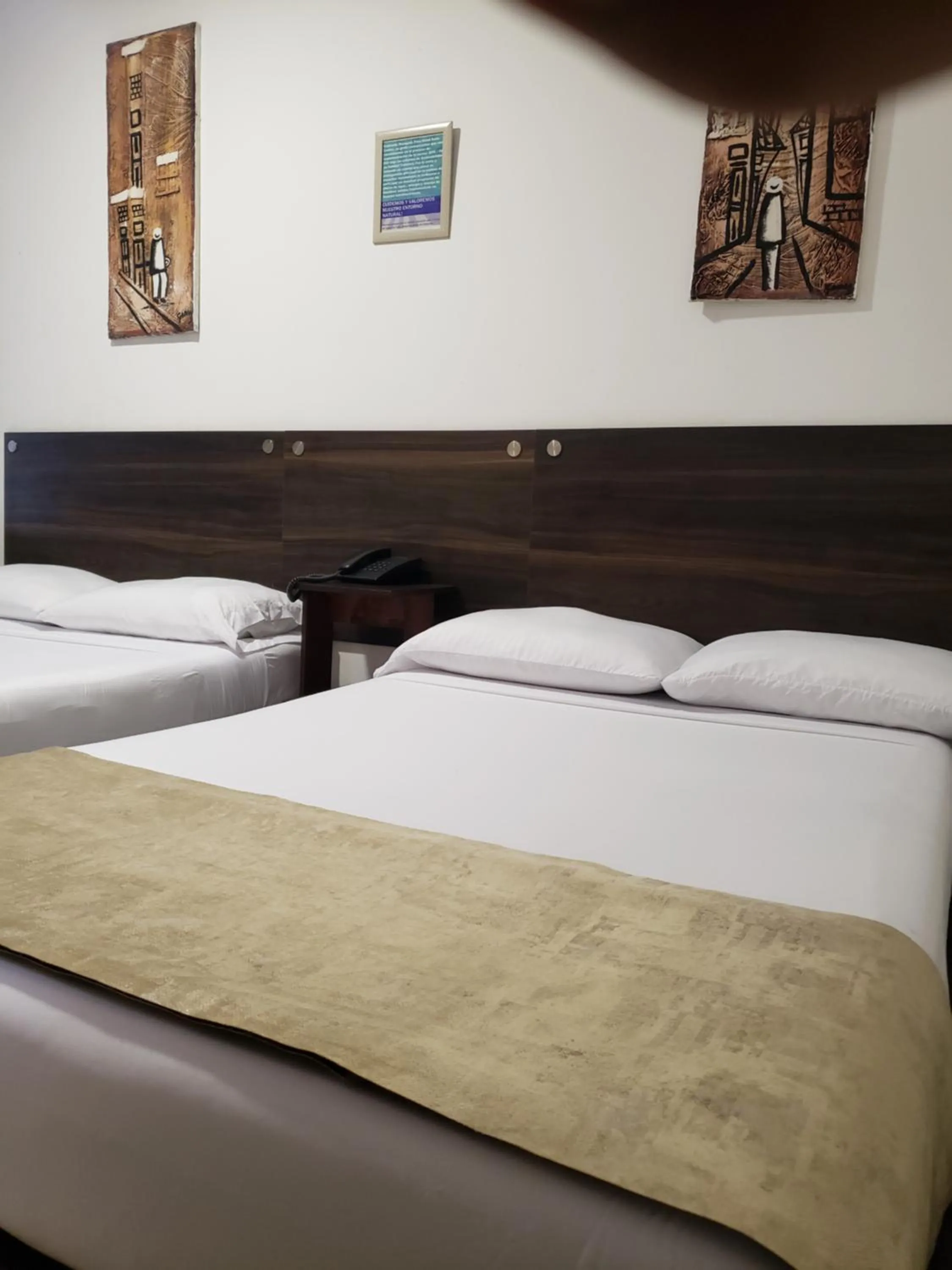 Bed in Hotel Suite Center Pereira