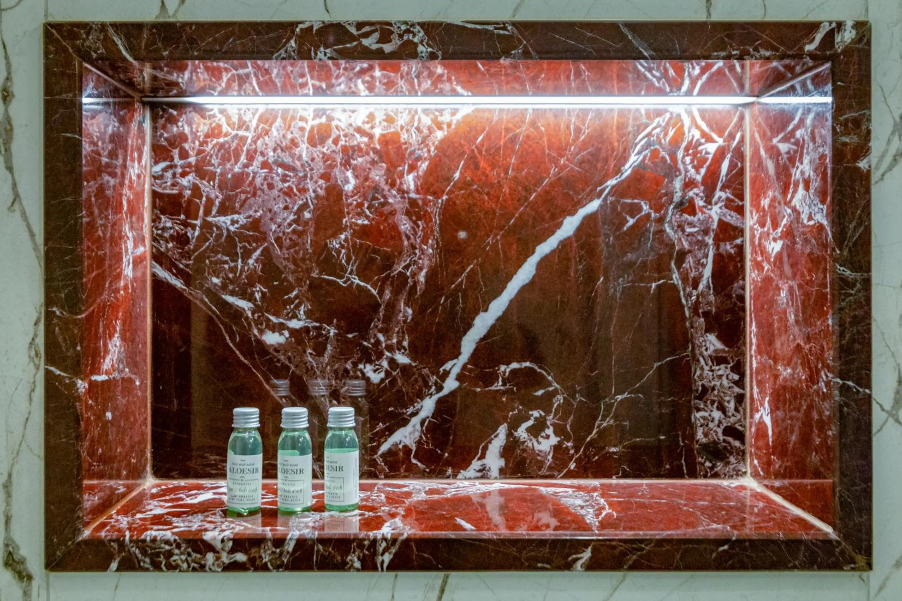 Shower in MR 3 Apartments