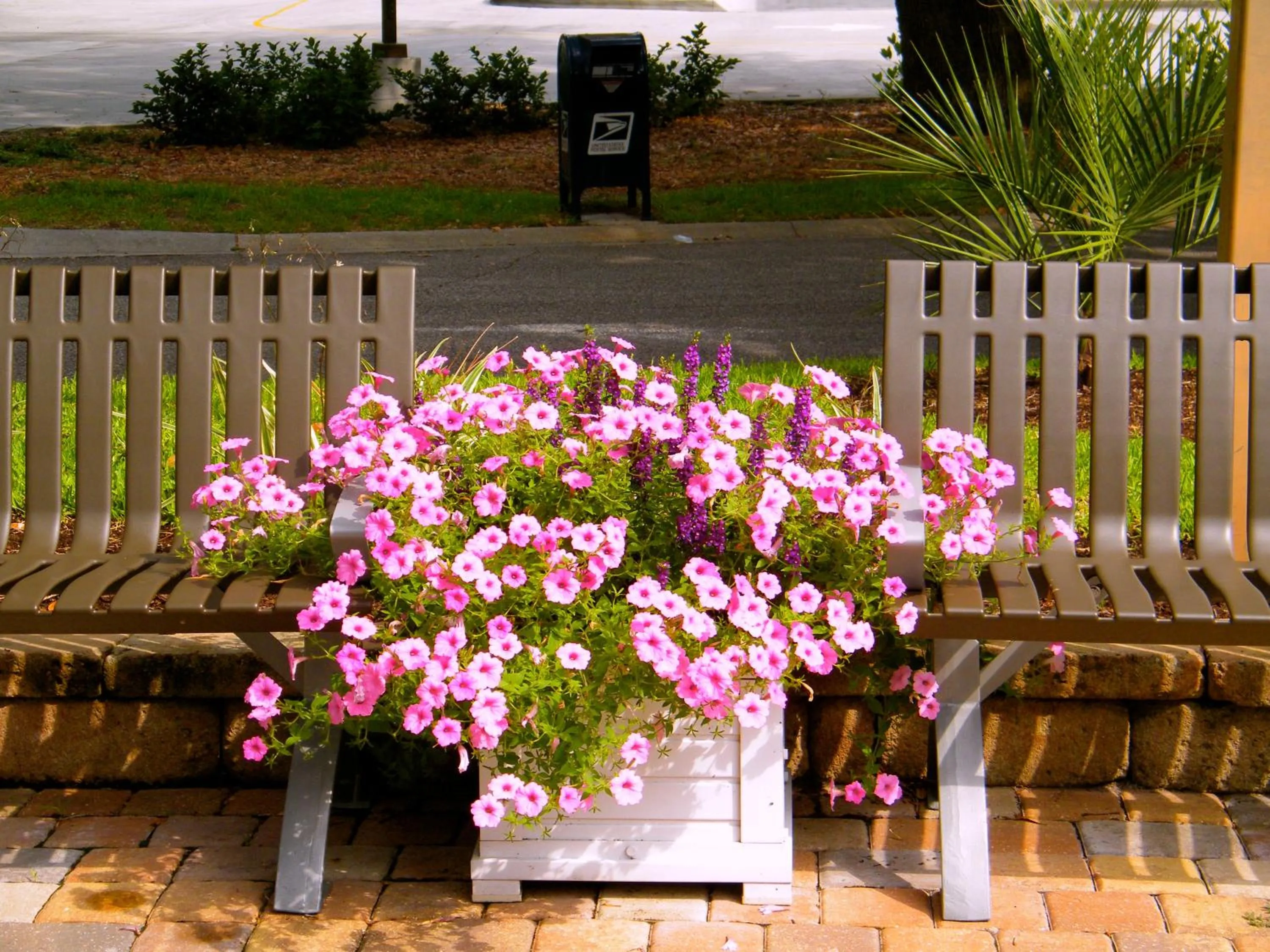 Decorative detail in Palmera Inn and Suites