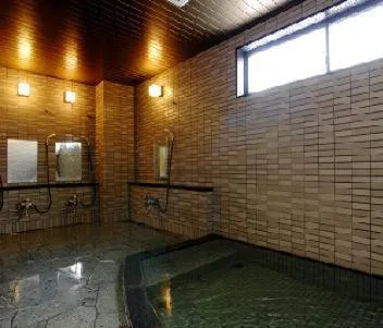 Hot Spring Bath in Hakuba Yamano Hotel