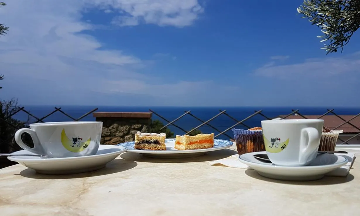 Garden in Al Chiaro di Luna