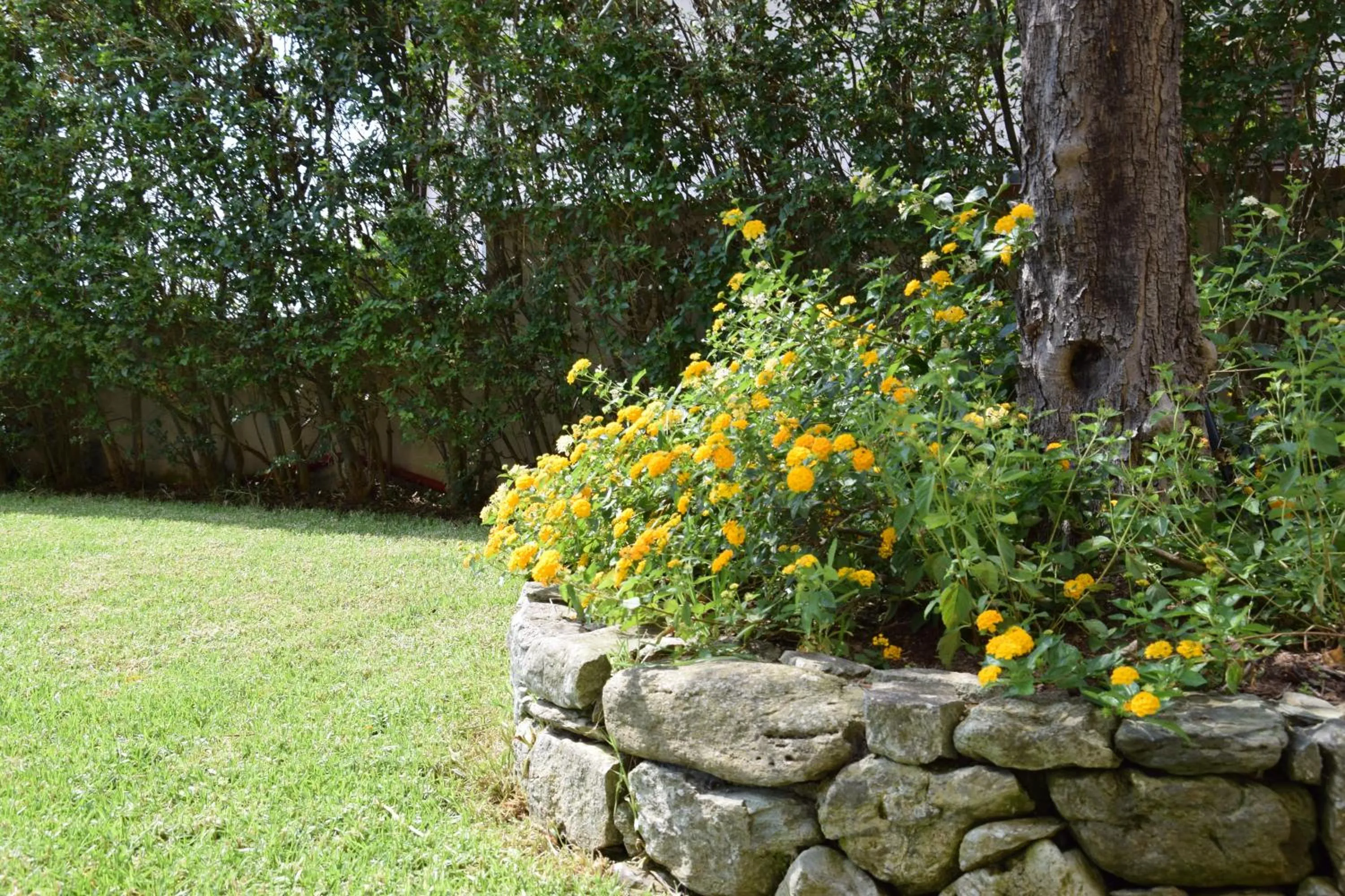 Day in Al Chiaro di Luna