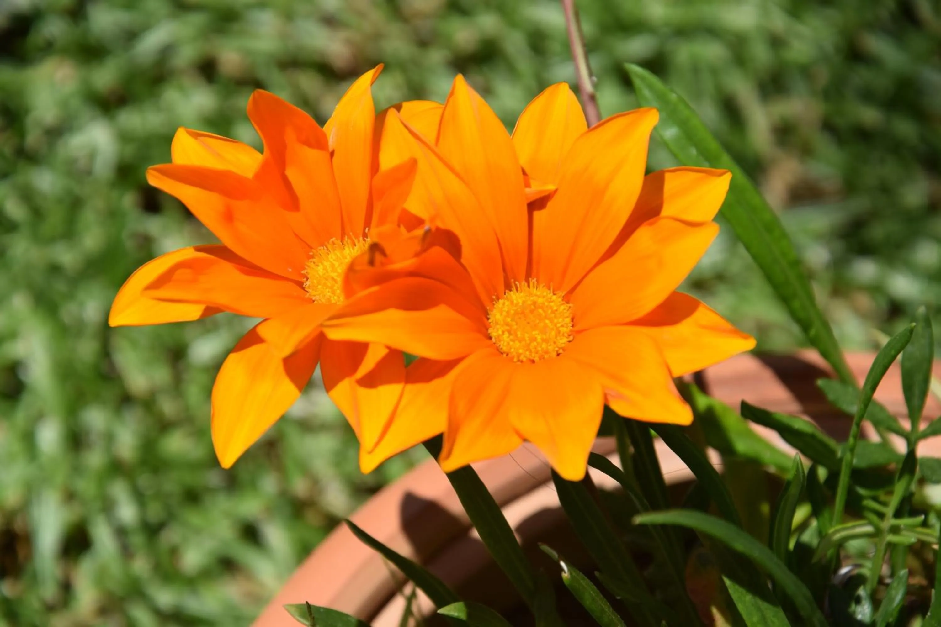 Day in Al Chiaro di Luna