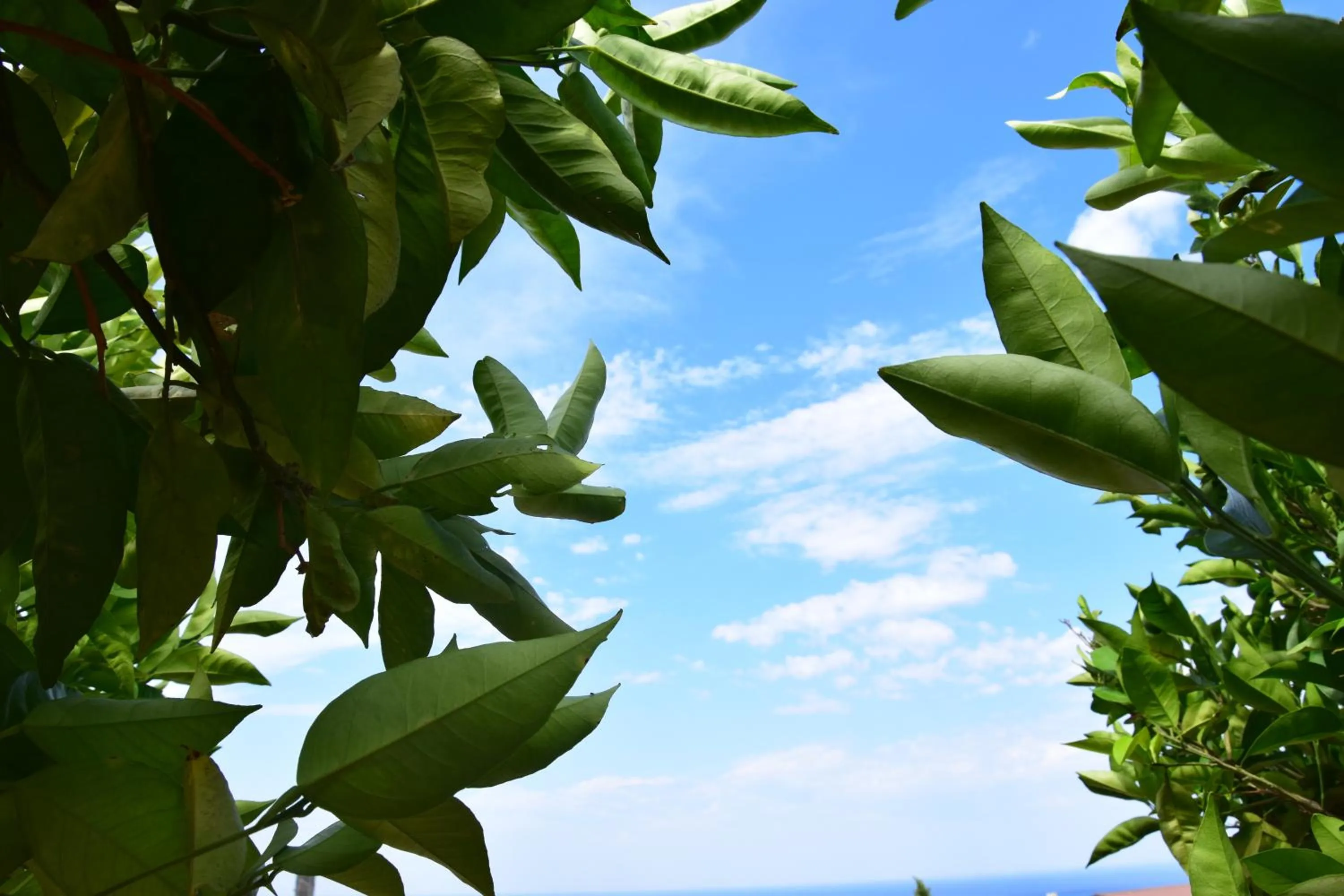 Natural landscape in Al Chiaro di Luna