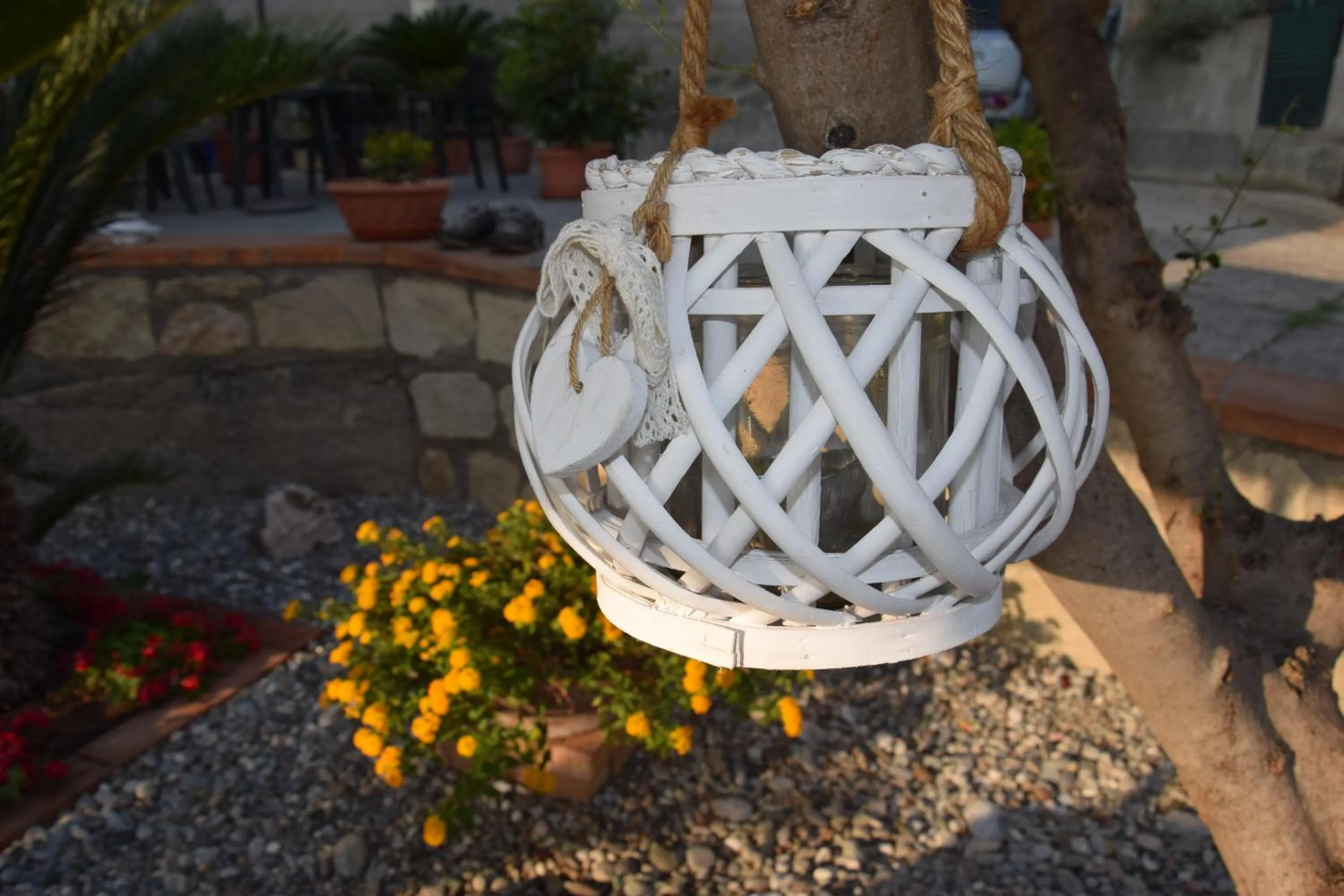 Garden in Al Chiaro di Luna