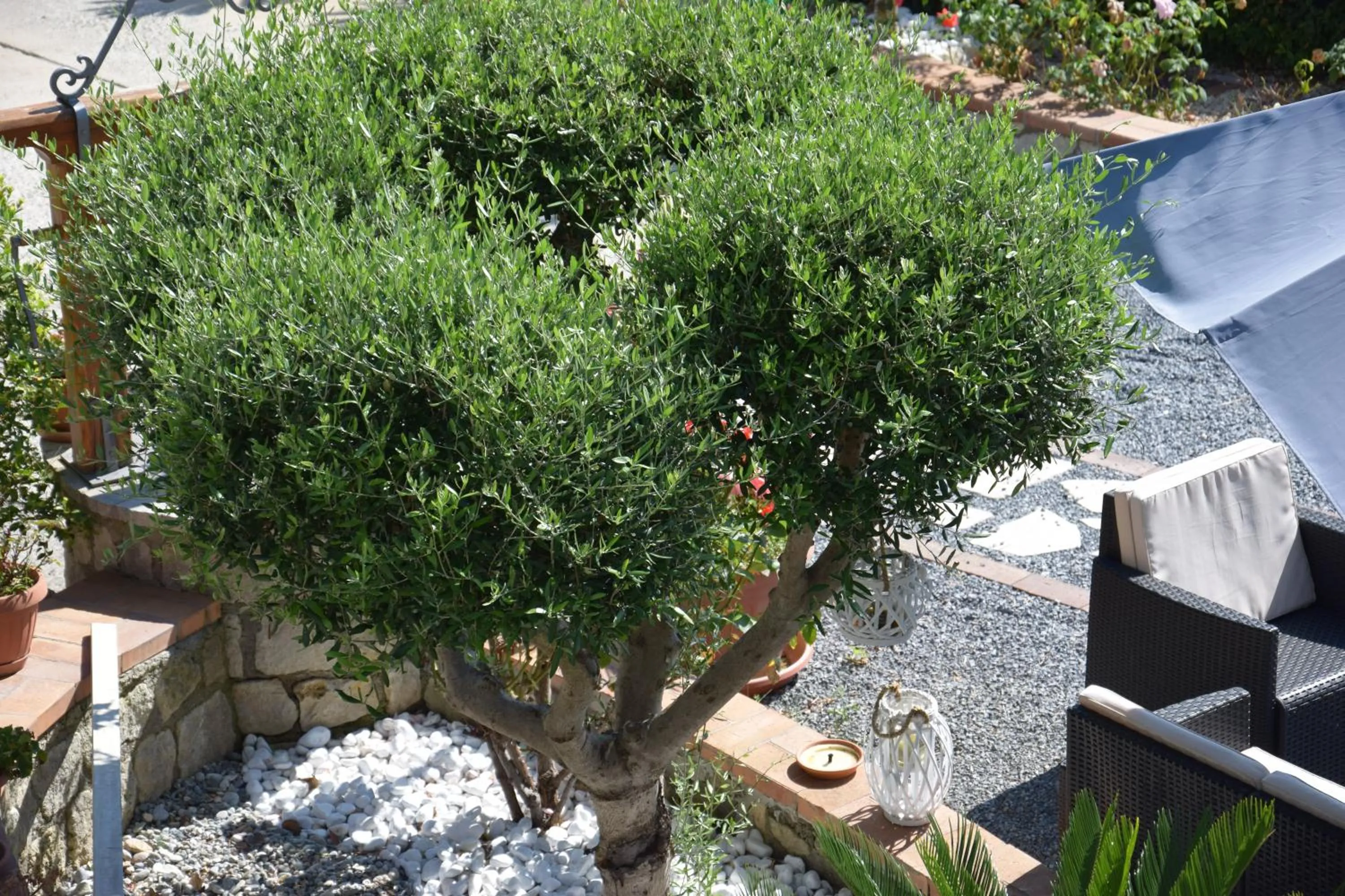 Property building in Al Chiaro di Luna