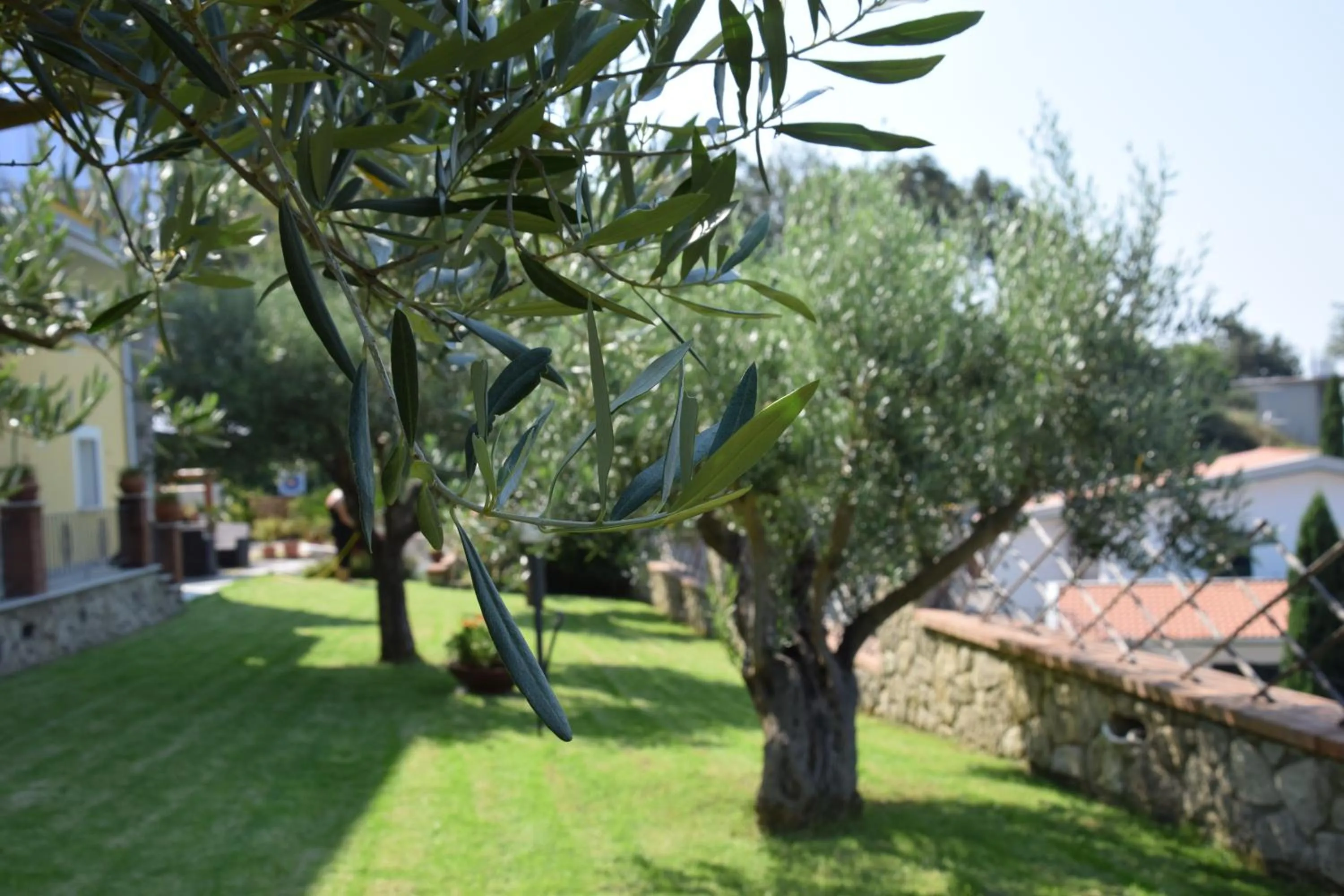 Day in Al Chiaro di Luna