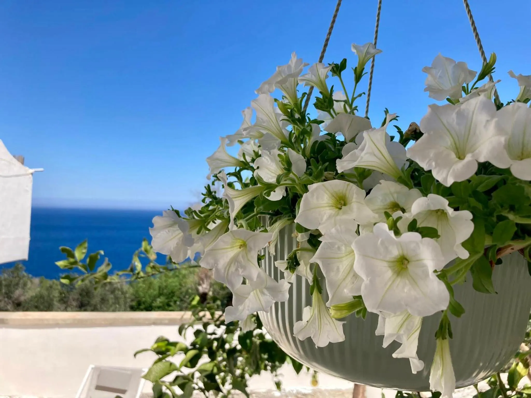 Sea view in Puerto Escondido