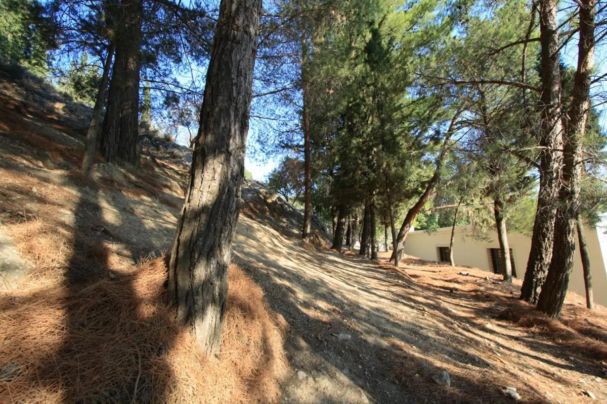 Area and facilities in Earino