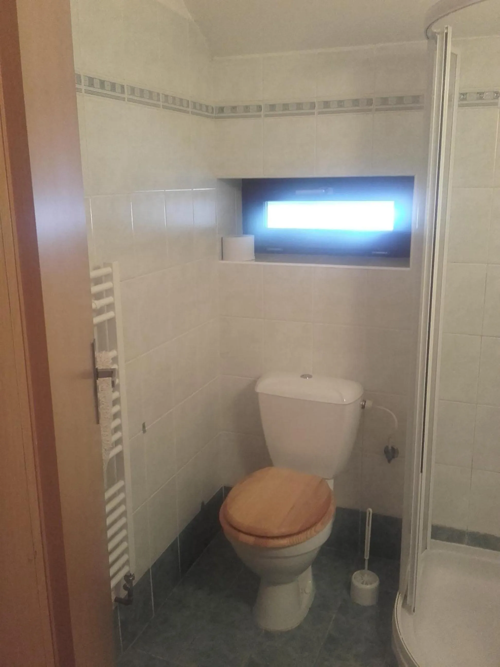 Toilet in Hotel Anna