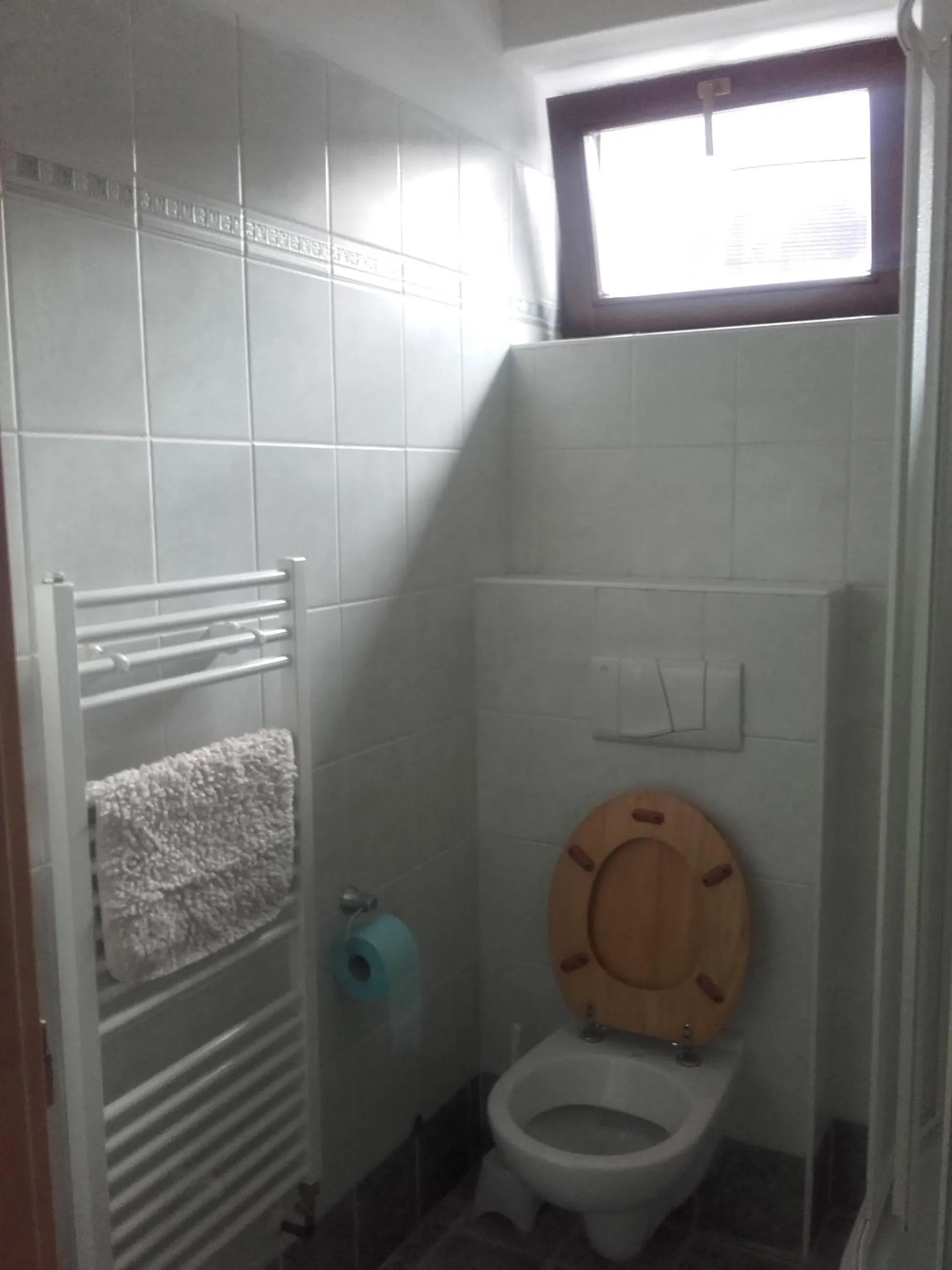 Bathroom in Hotel Anna