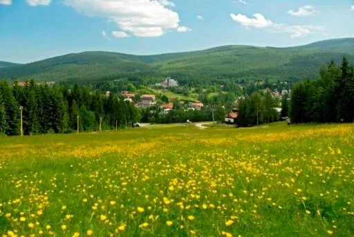 Spring in Hotel Anna