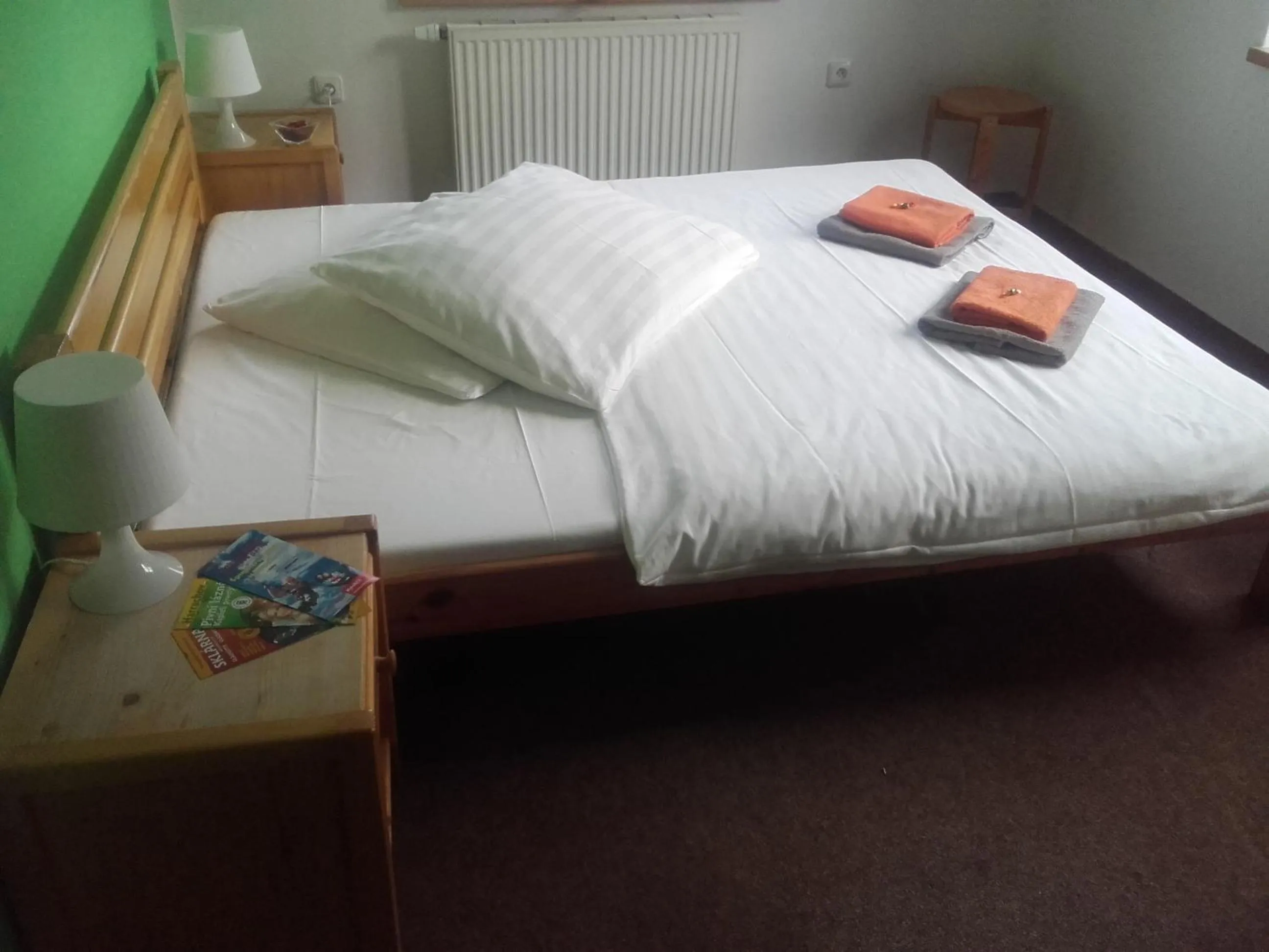 Photo of the whole room, Bed in Hotel Anna