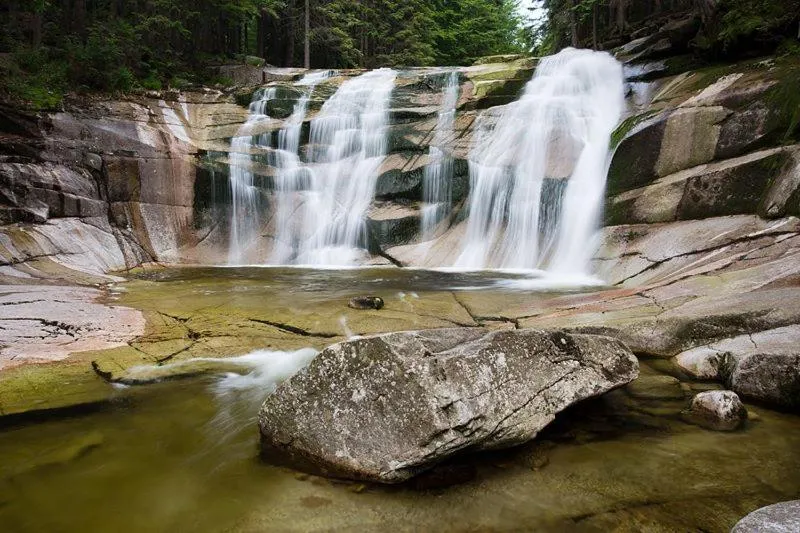 Natural landscape in Hotel Anna
