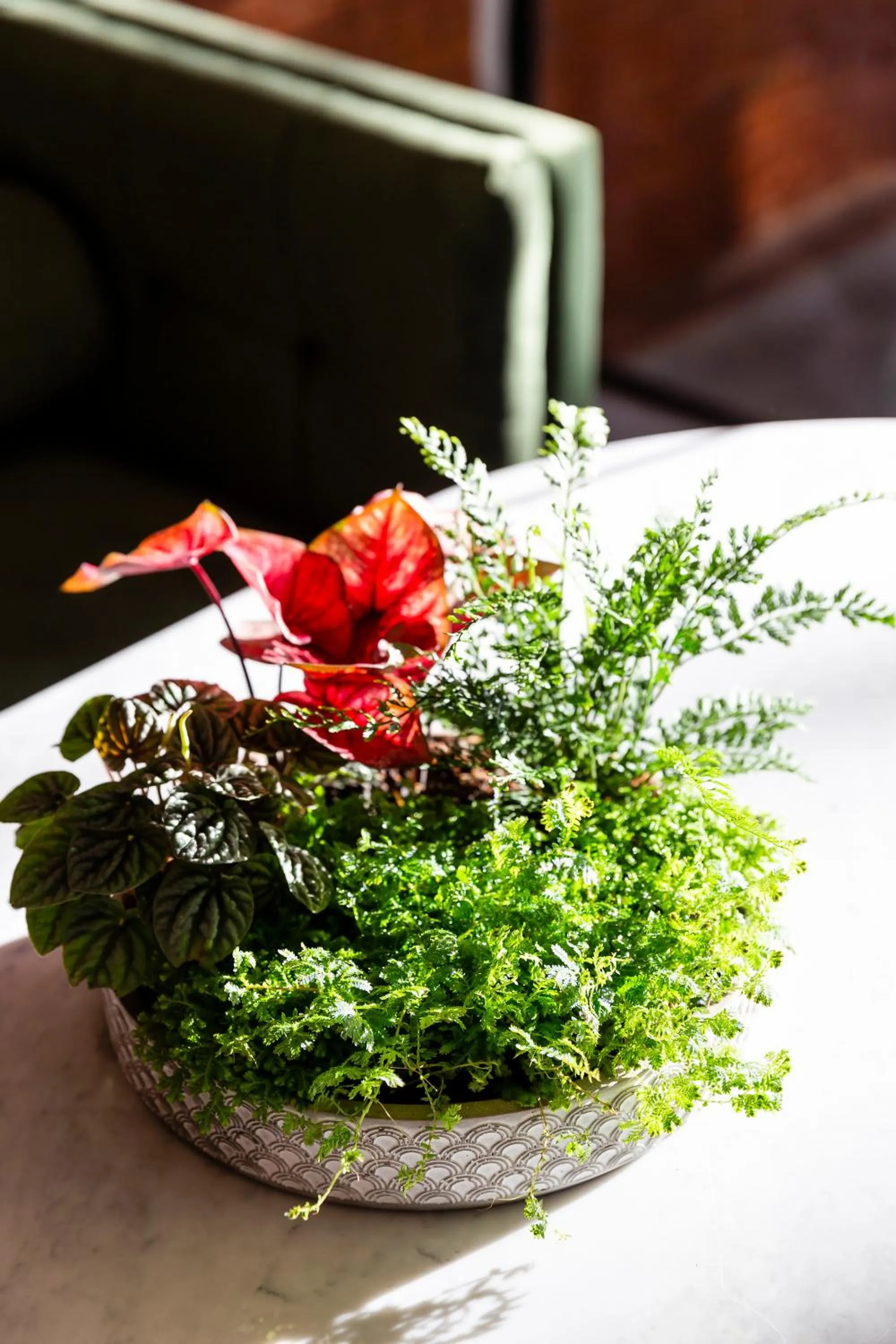 MiLa Thapae@Chiang Mai Old City