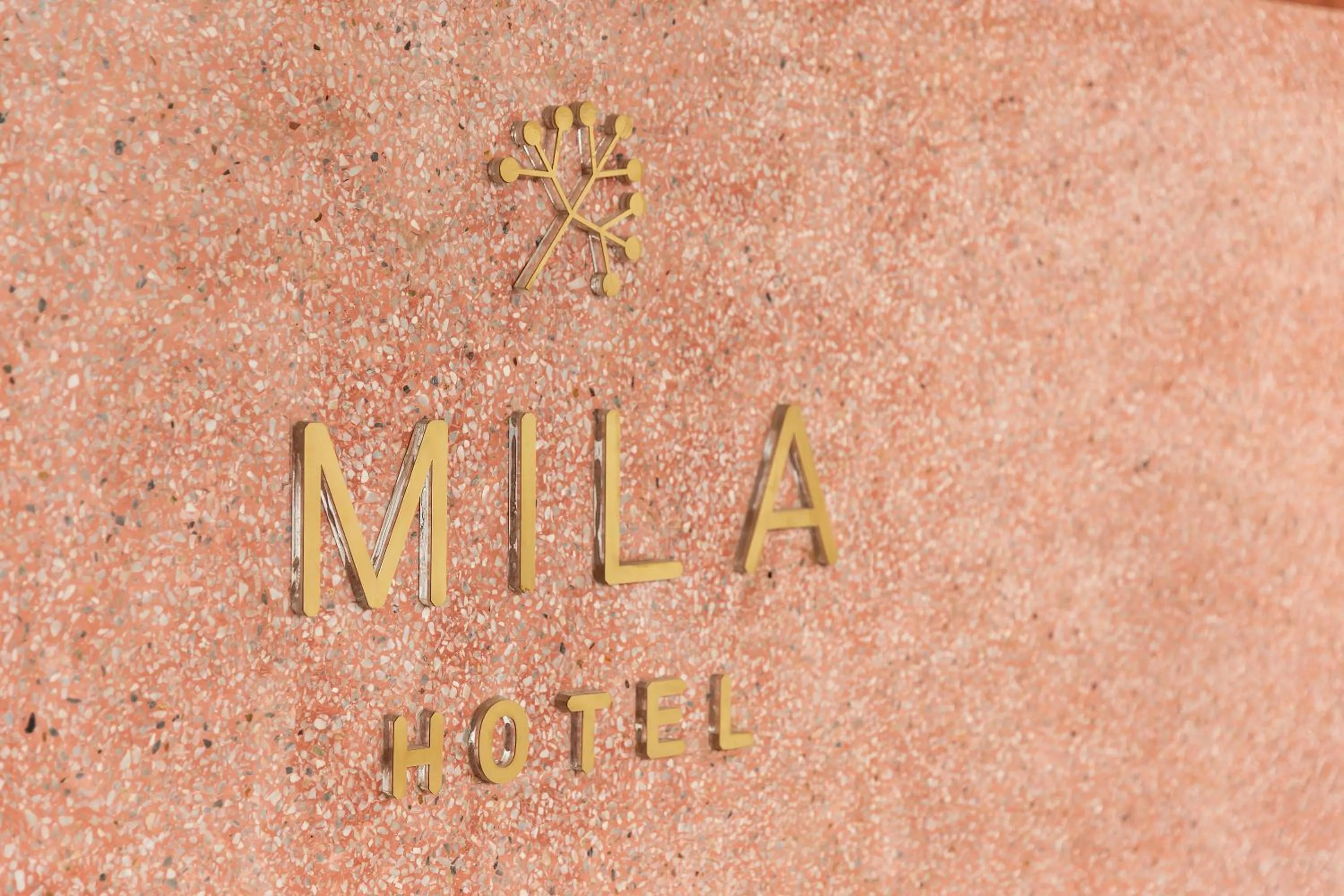 Property building in MiLa Thapae@Chiang Mai Old City