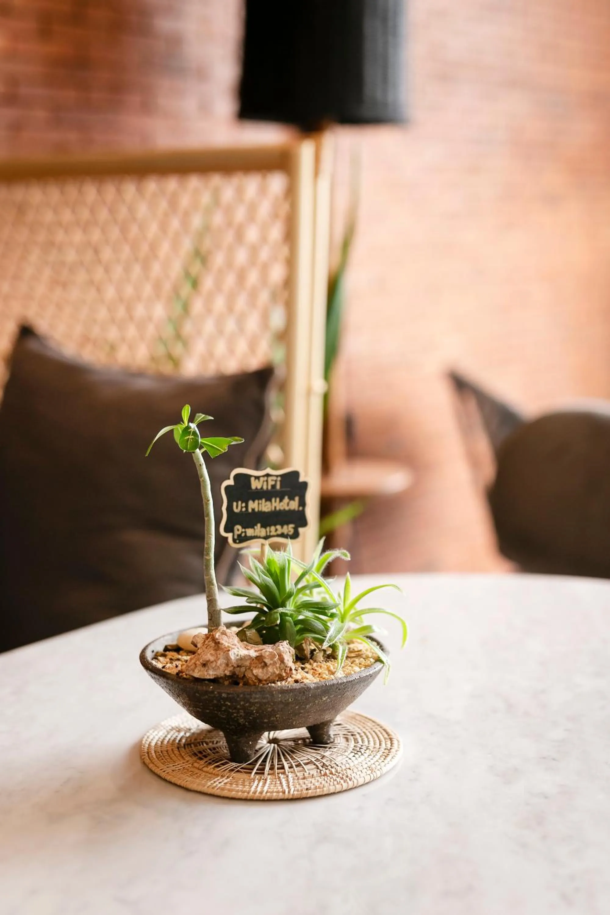 MiLa Thapae@Chiang Mai Old City