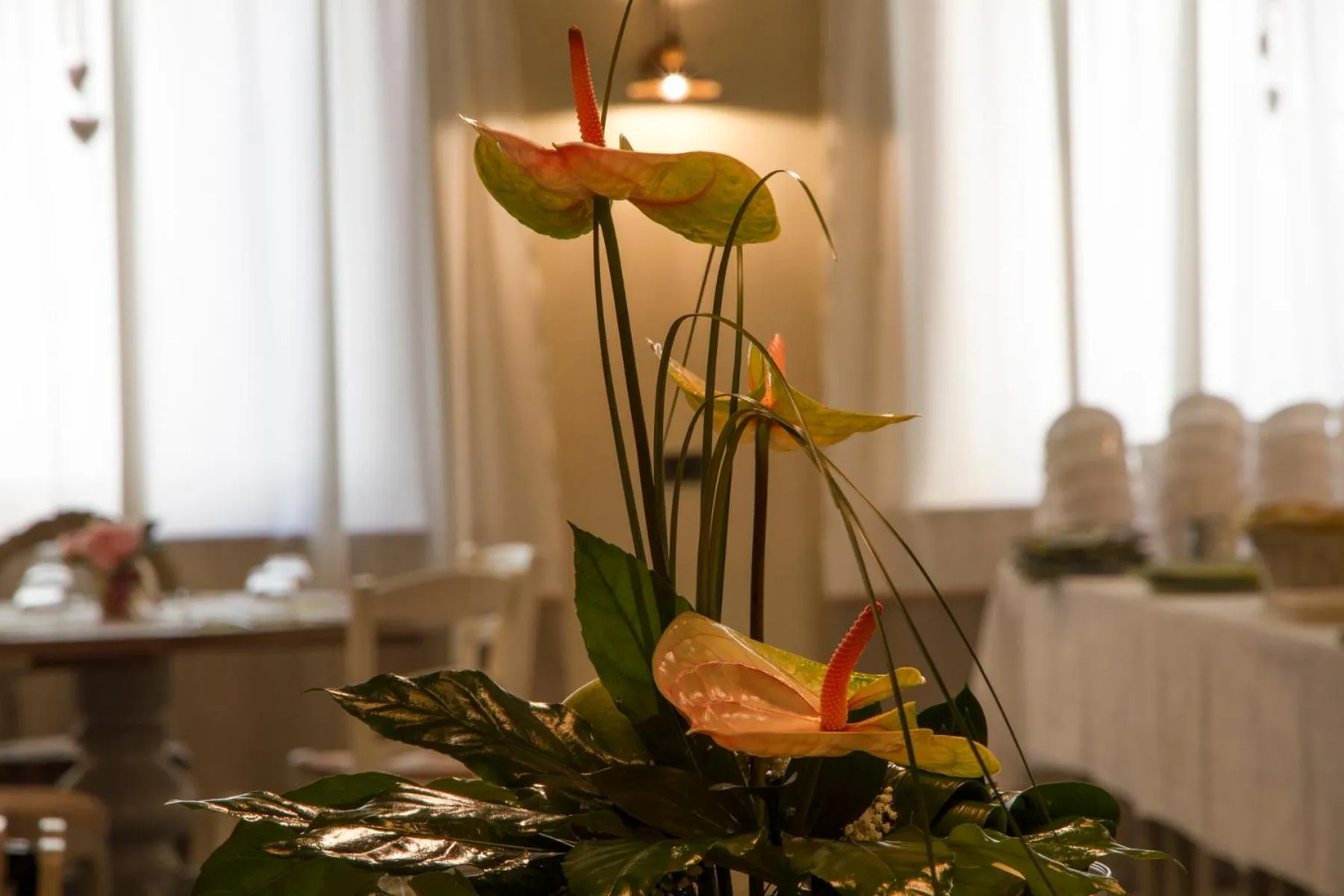 Other in Hotel Europa