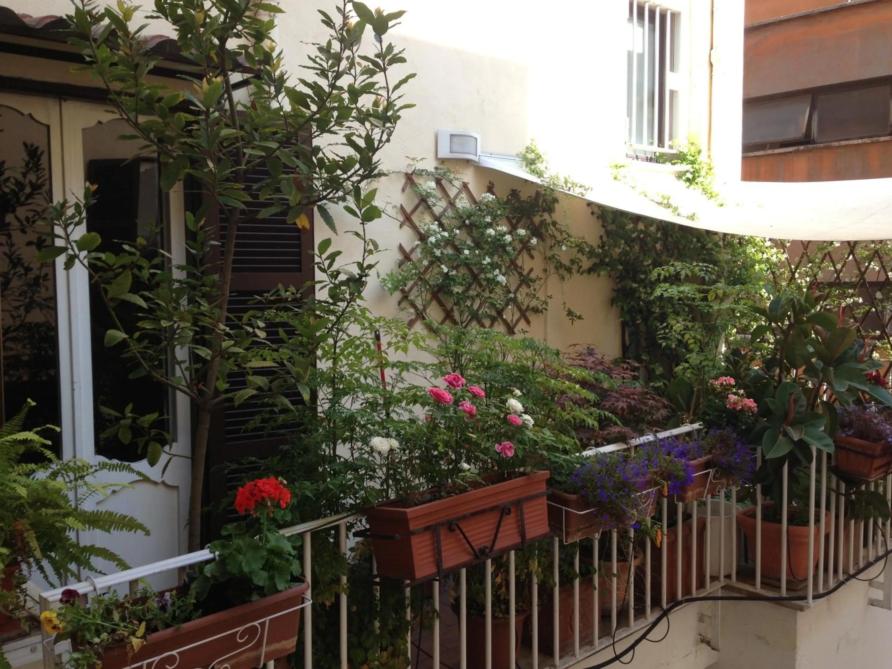 Balcony/Terrace in Relais Teatro Argentina