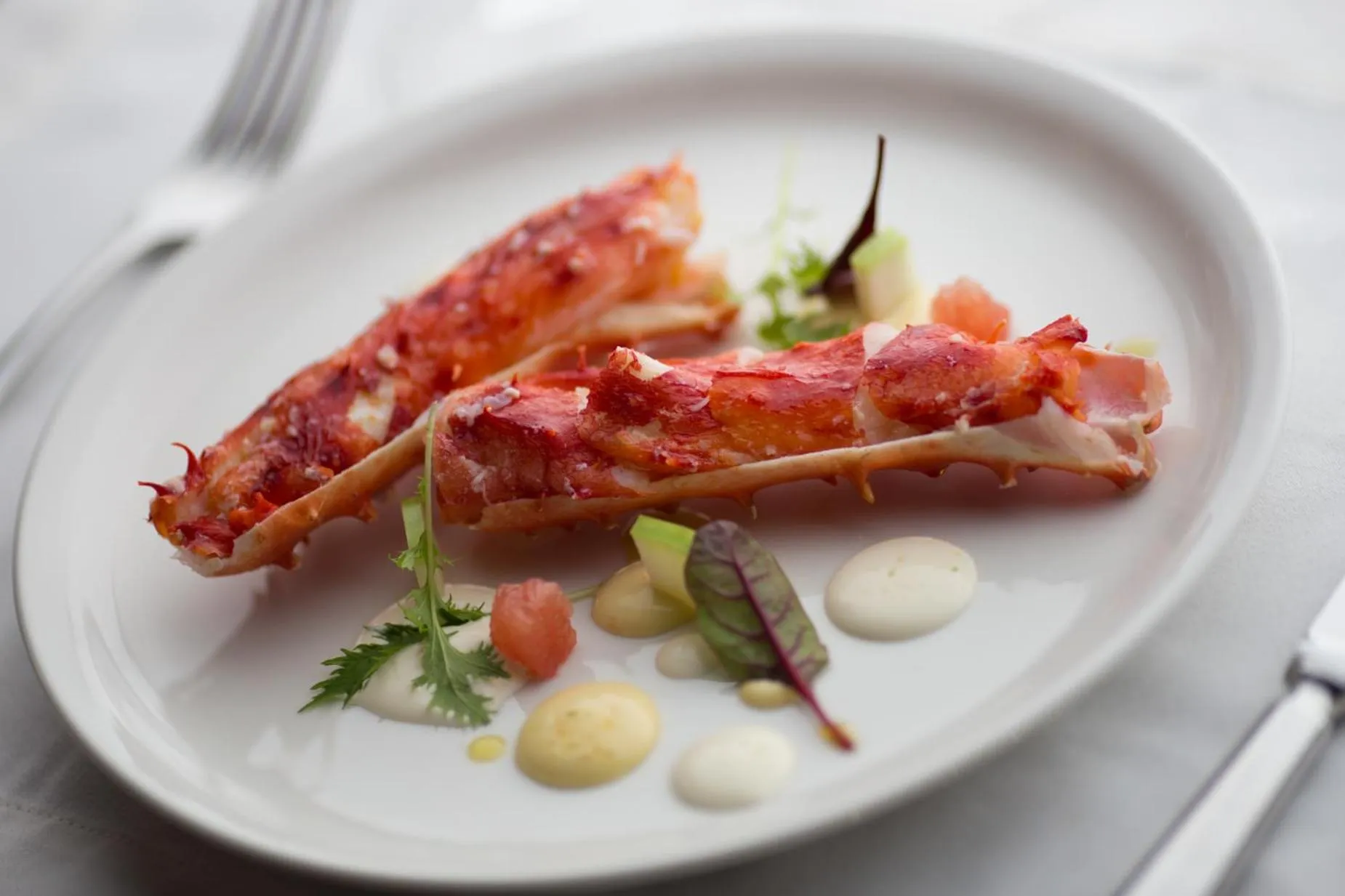 Restaurant/places to eat in The Singular Patagonia Hotel